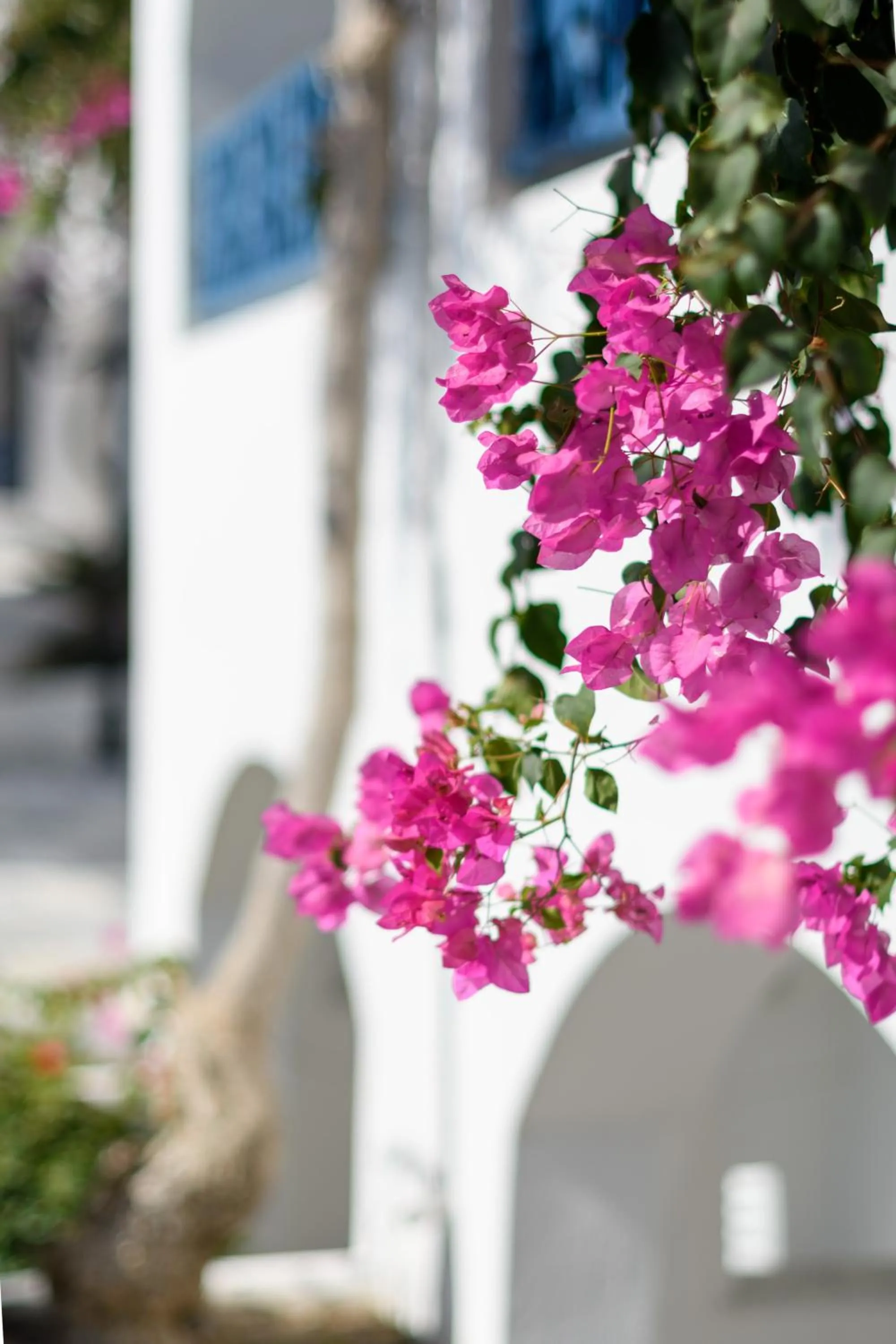 Decorative detail in Veggera Beach Hotel