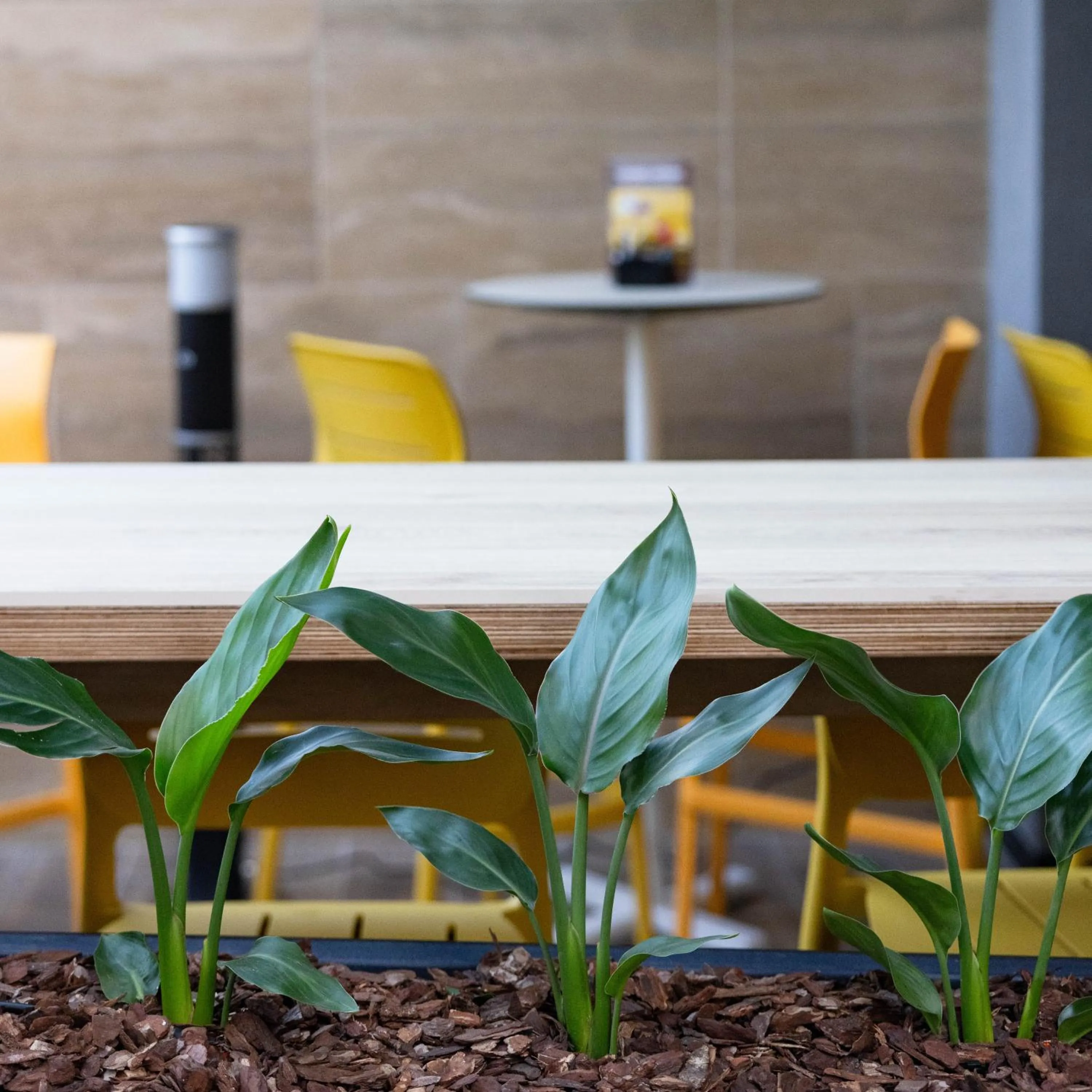Dining area in Isabella Suites
