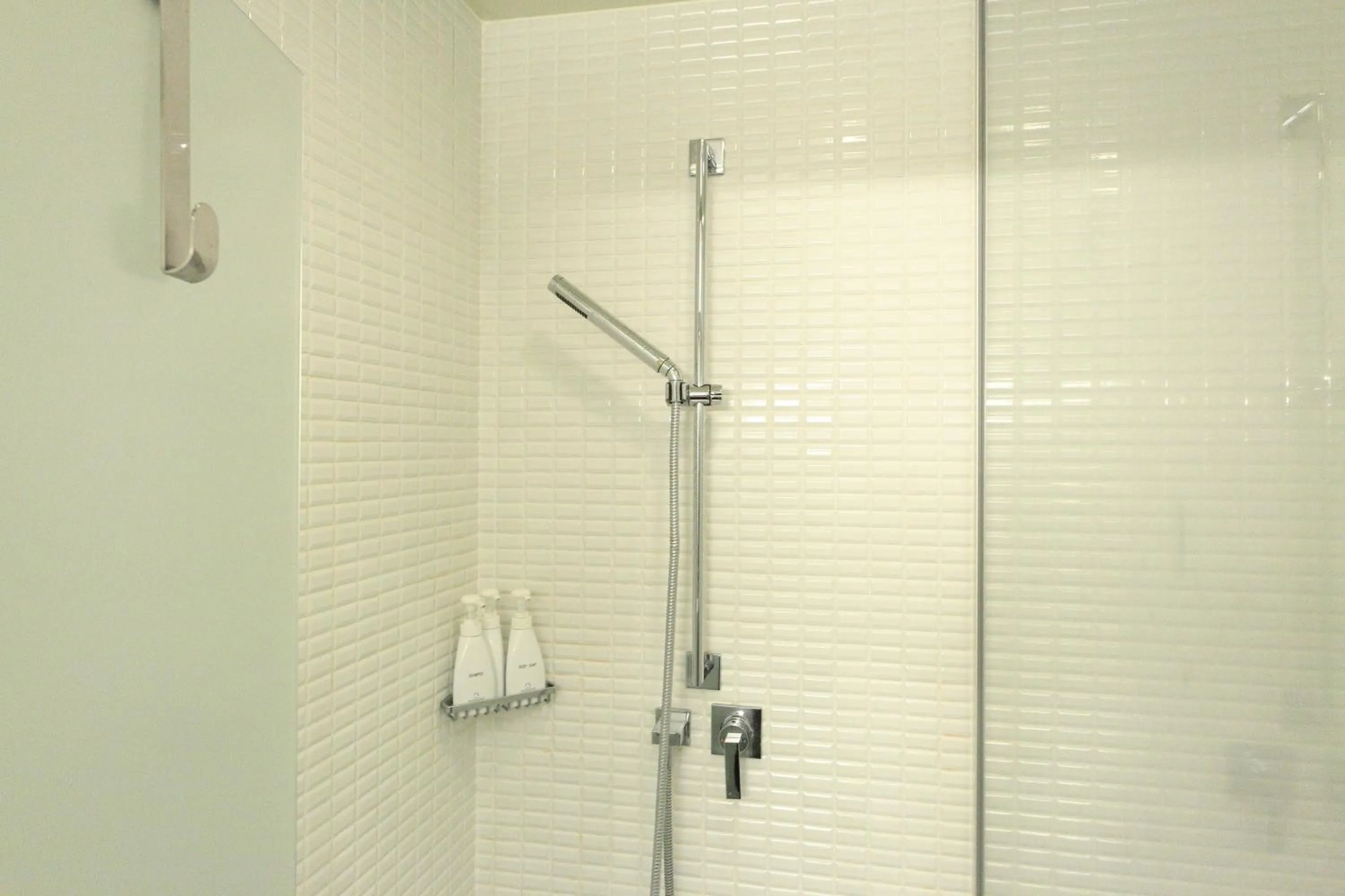 Bathroom in Hotel Massimo Mishima