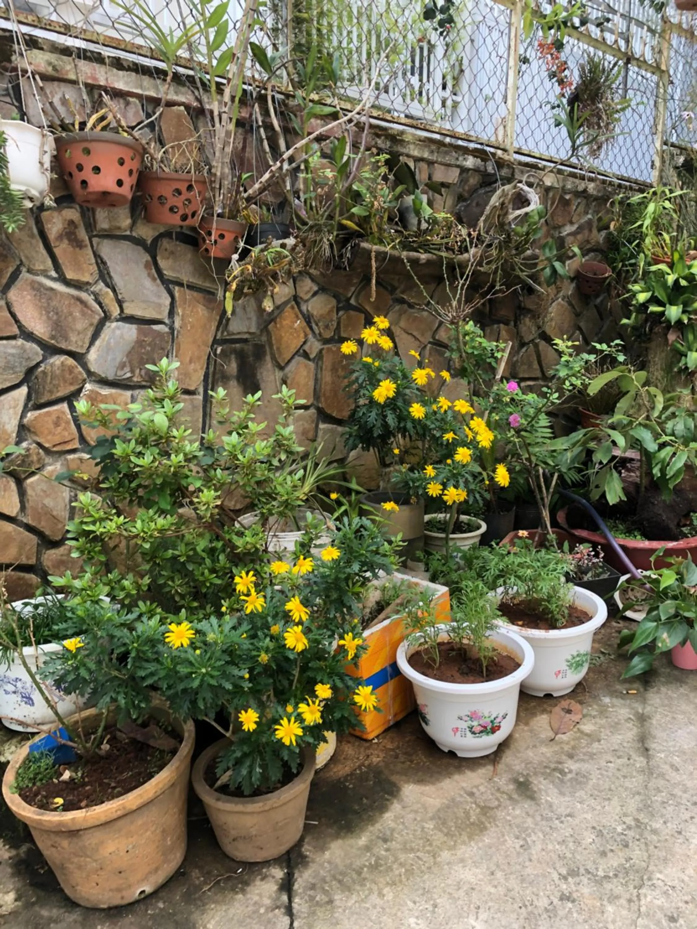 Property building in Phuong Hong Guesthouse