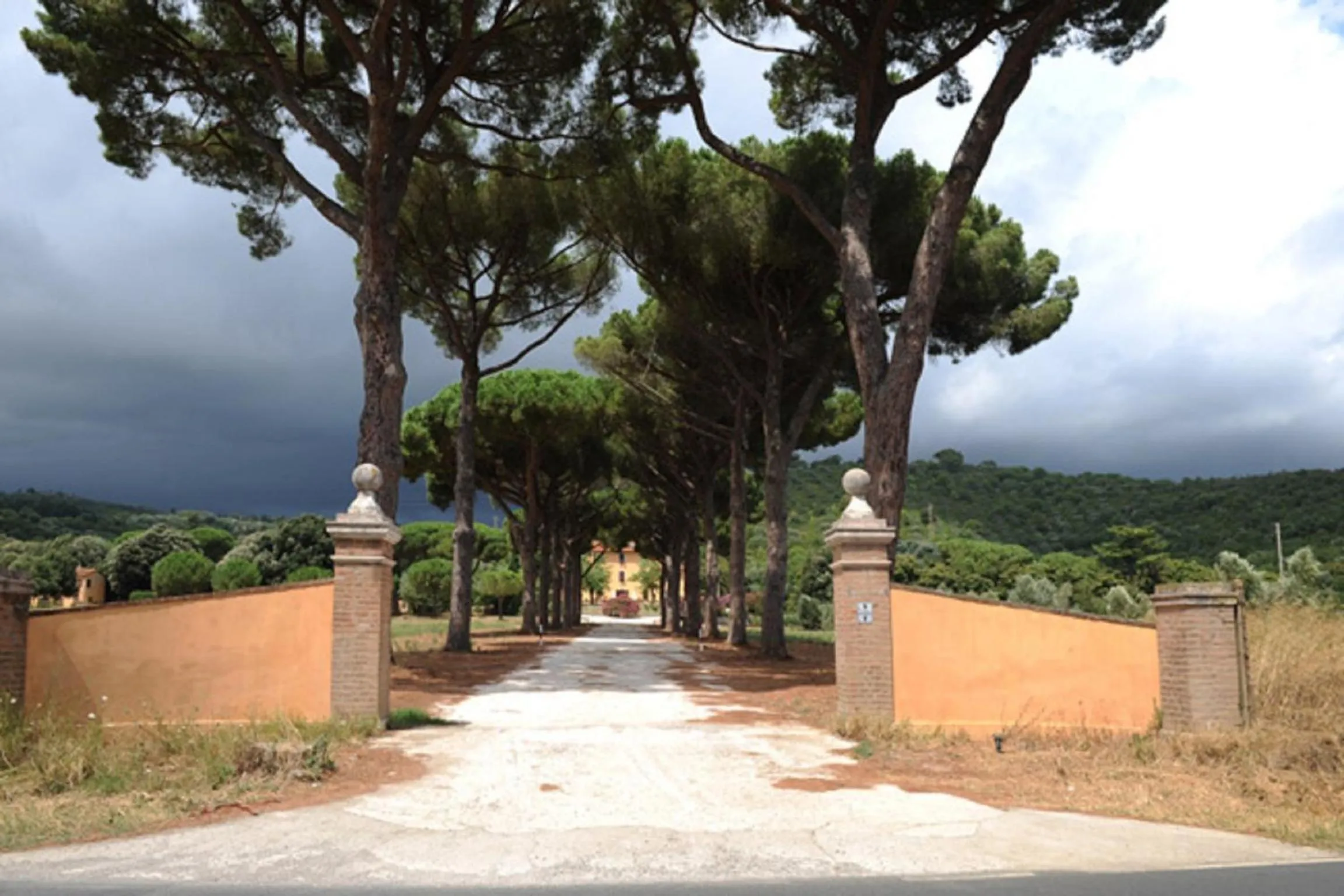 View (from property/room) in Villa Boldrini b&b