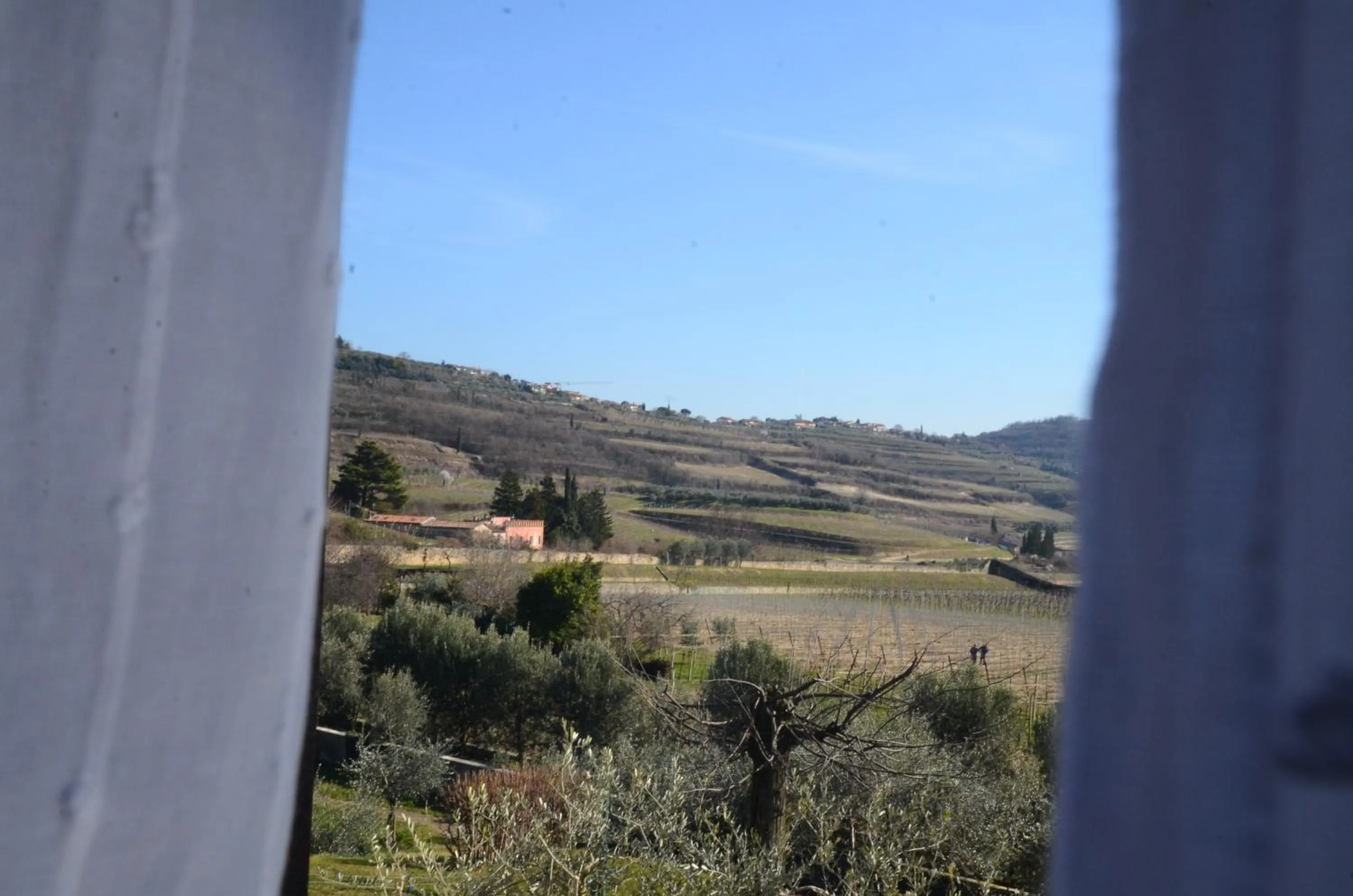 View (from property/room) in B&B La Grola