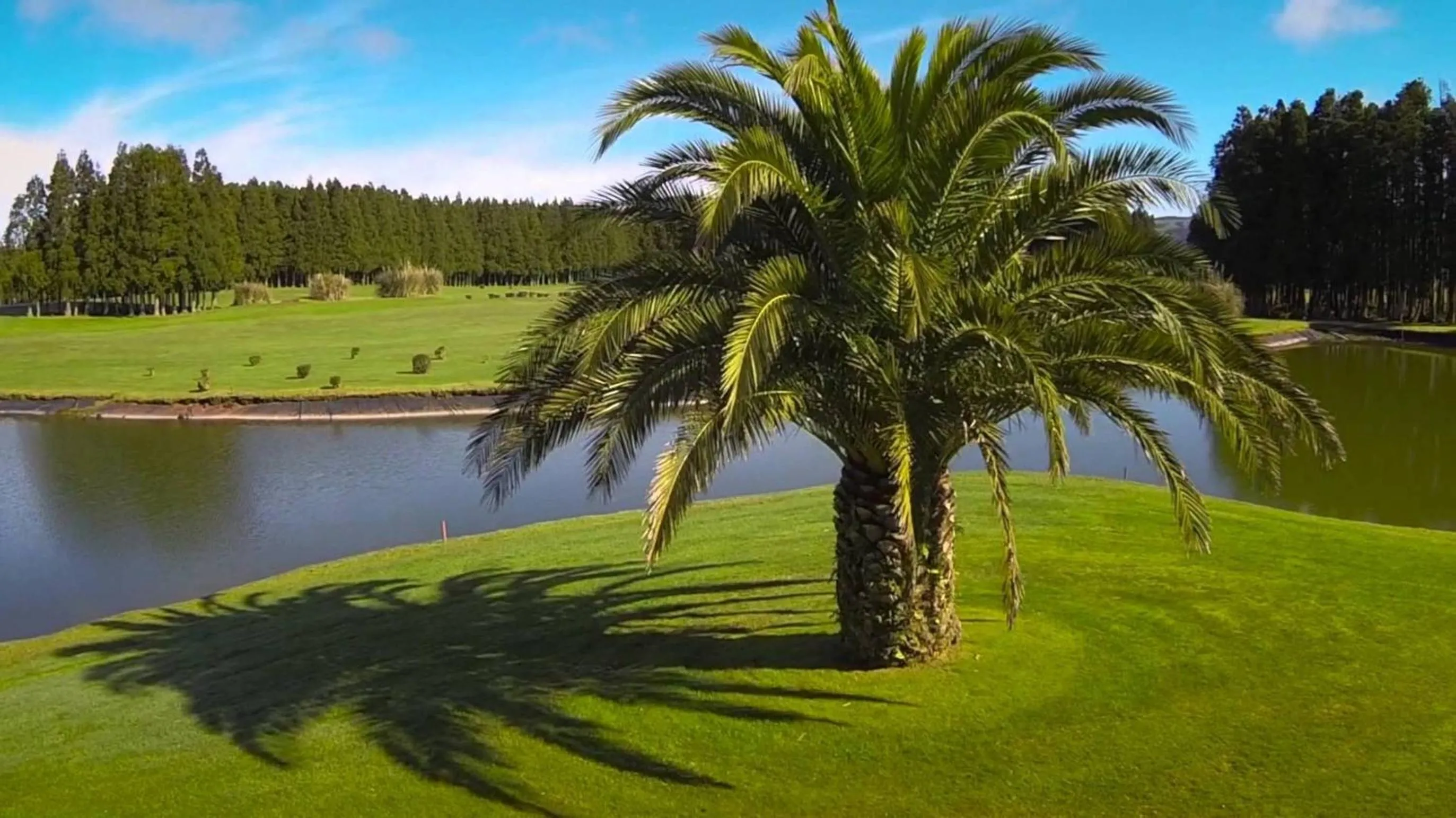 Golfcourse in Casa da Beija - House Azores
