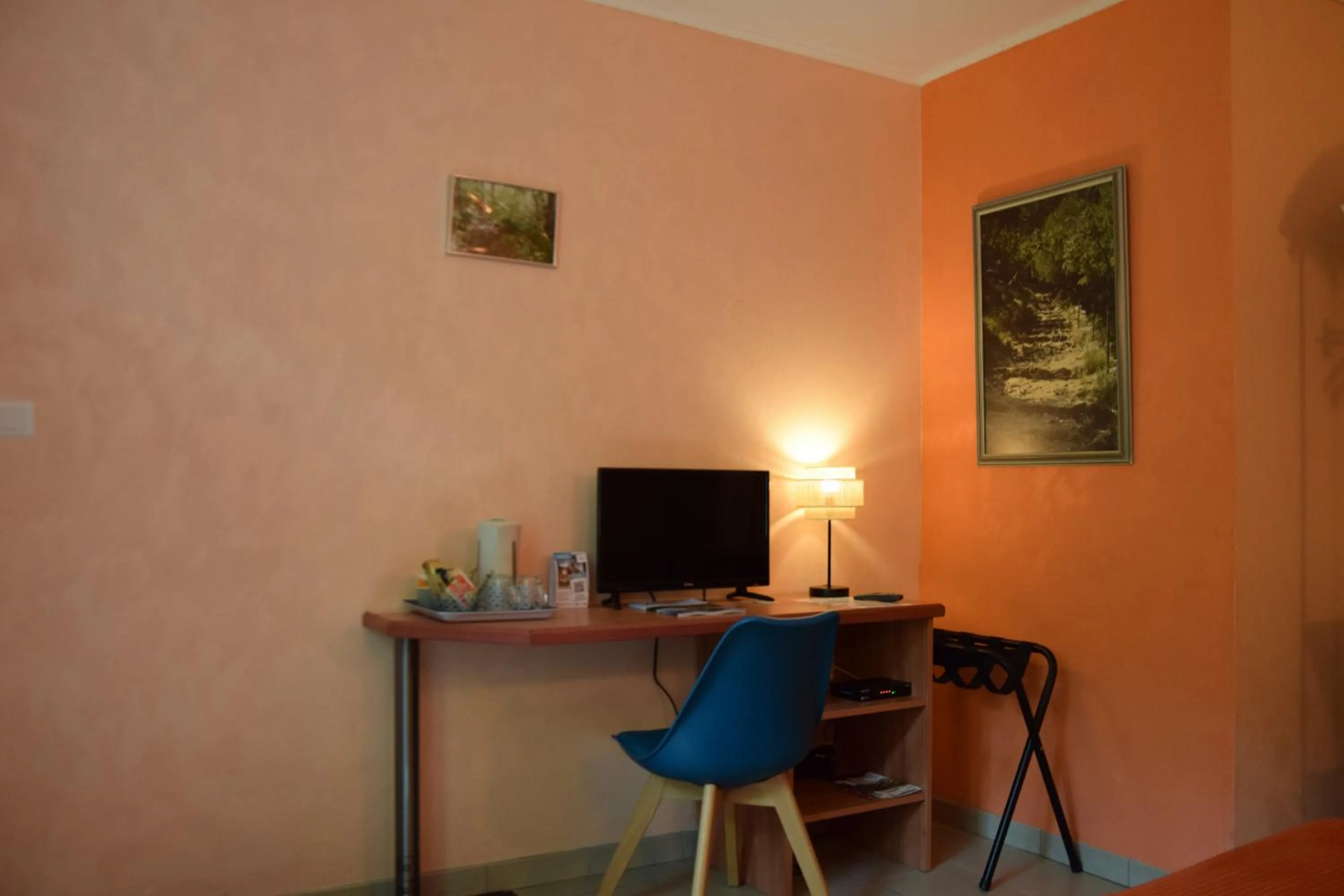 TV and multimedia in Chambres d'Hôtes L'Orée des Bois
