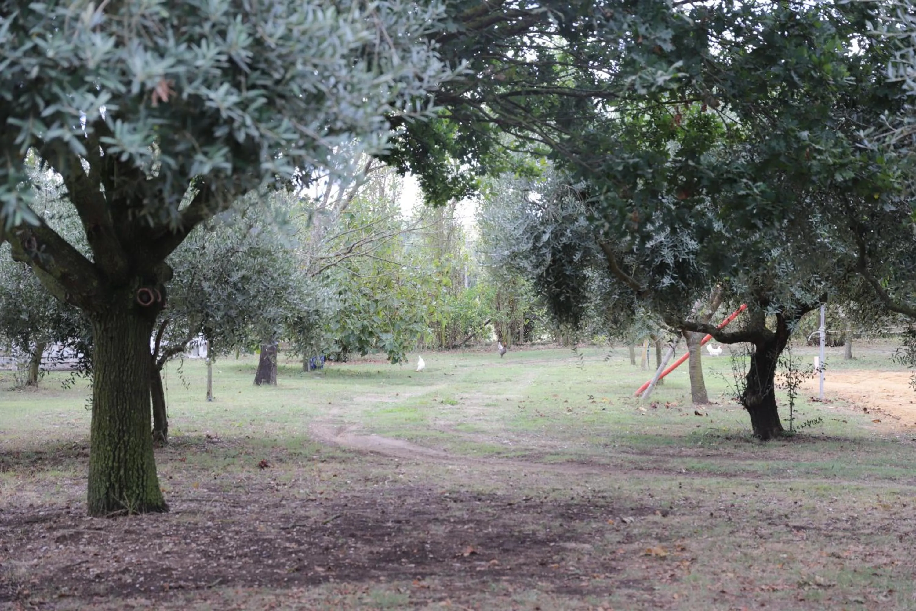 B&B Le Colline Country House