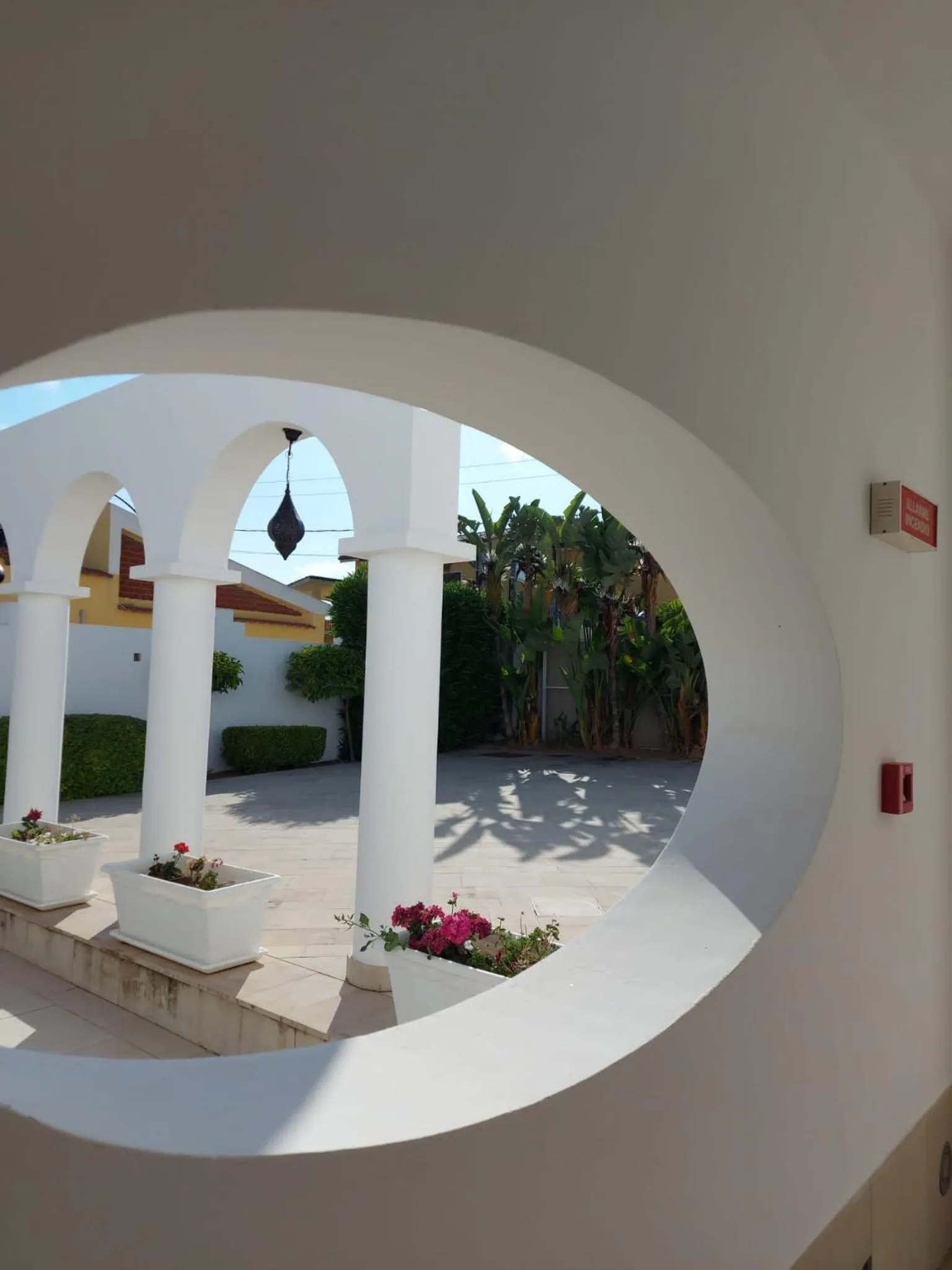 Patio in Hotel Villa Ionia