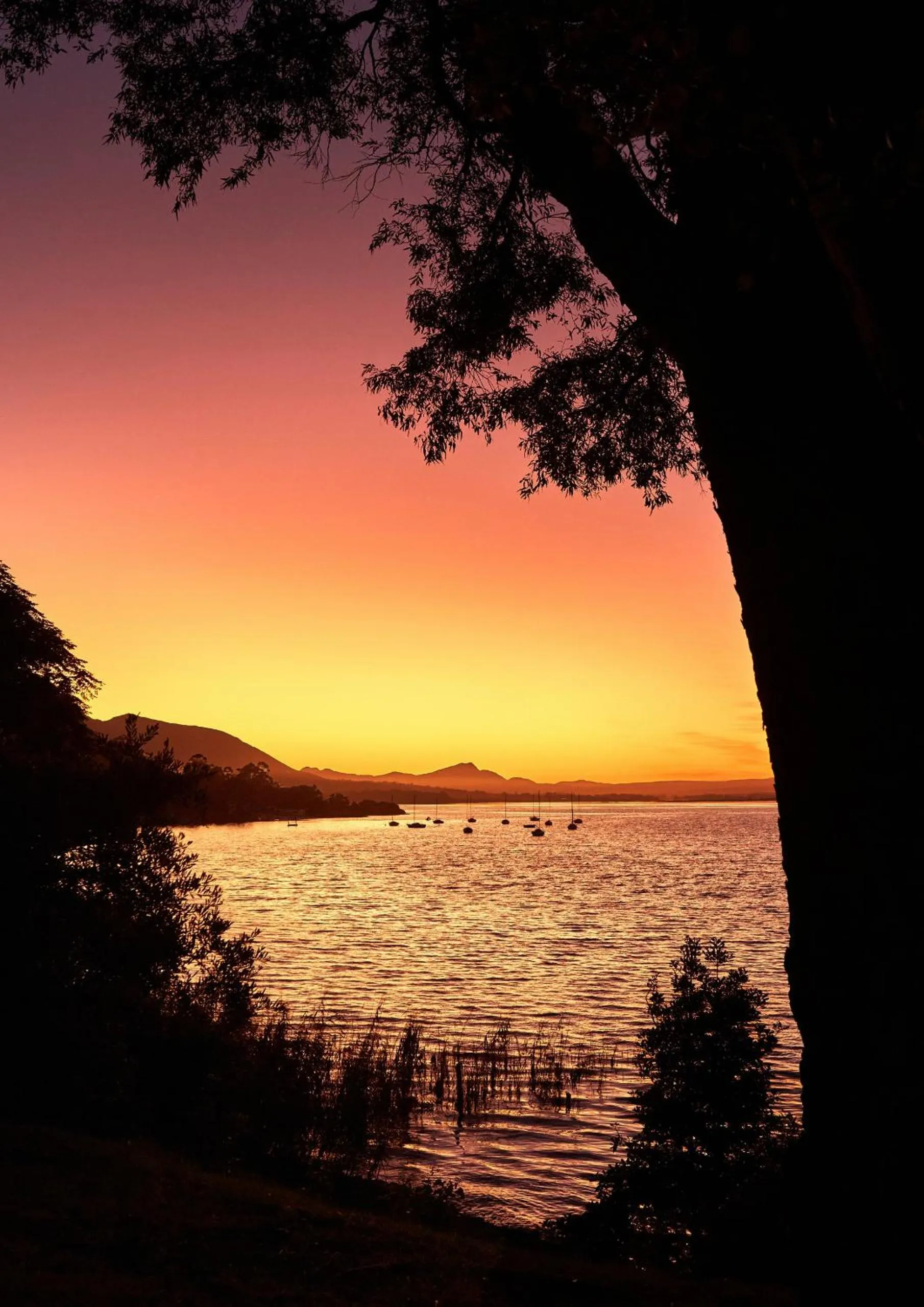 Natural landscape in The Thatch House Boutique Hotel, Hermanus