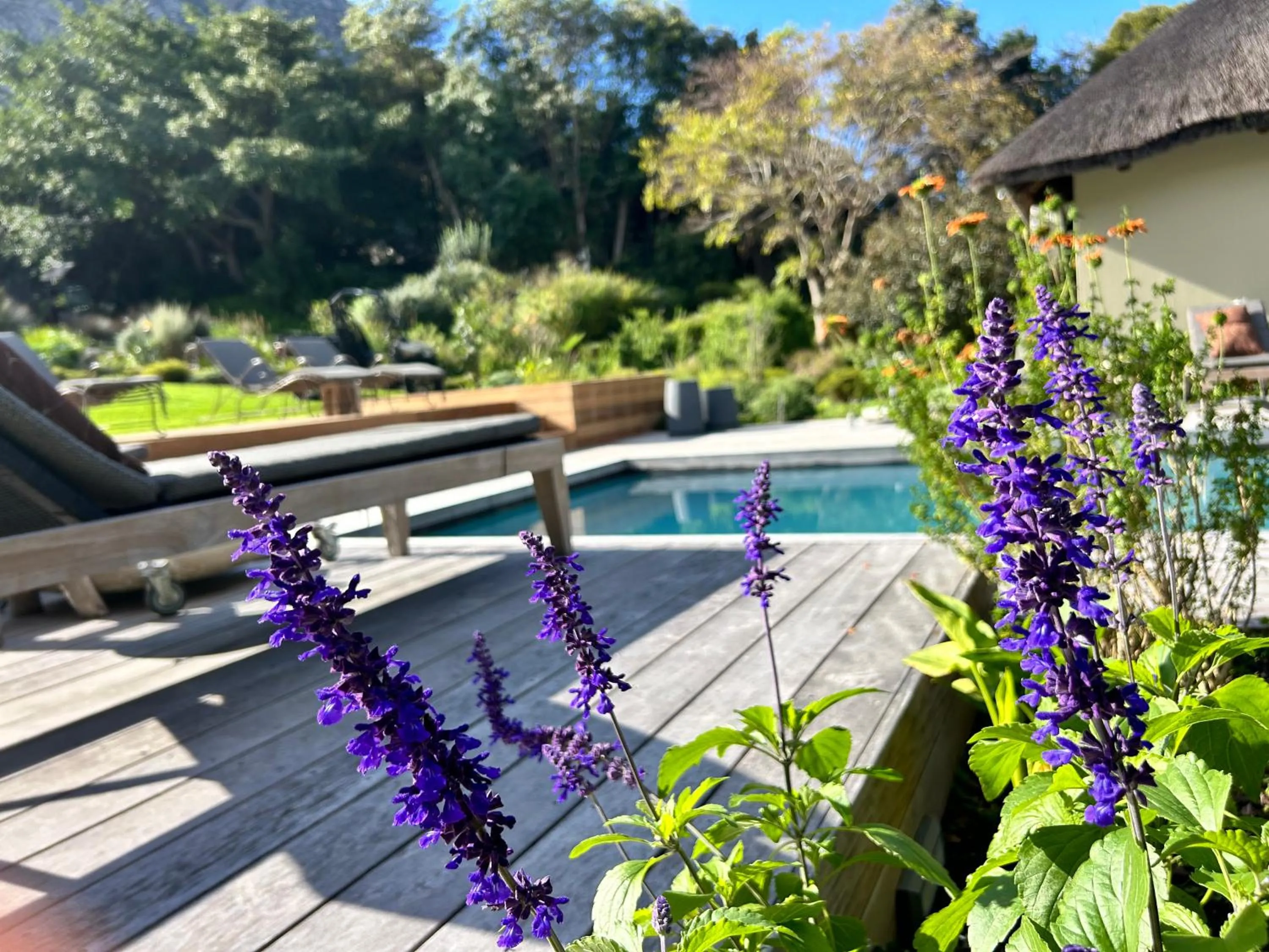 Patio in The Thatch House Boutique Hotel, Hermanus