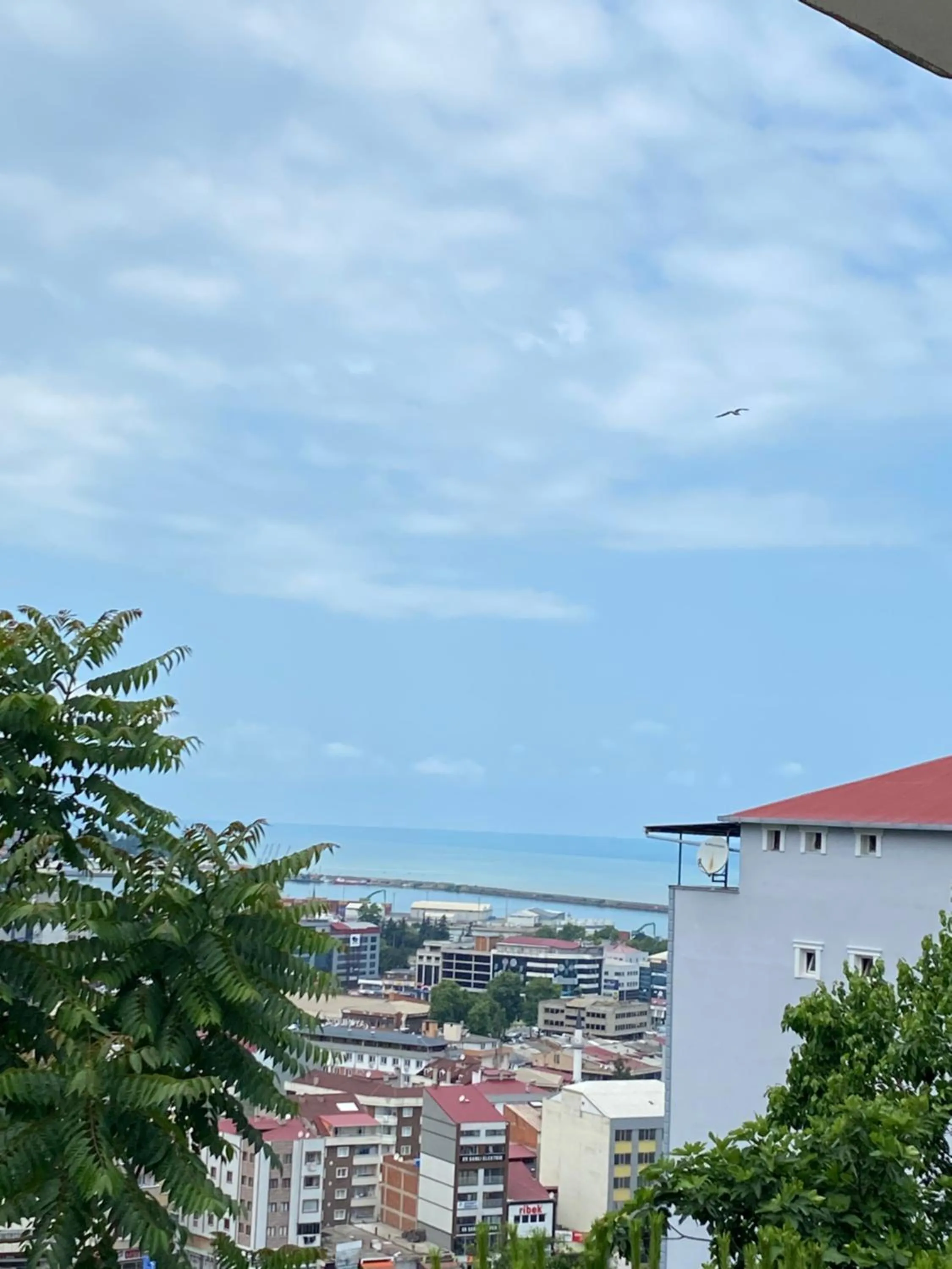 Natural landscape in Kuzey suite home