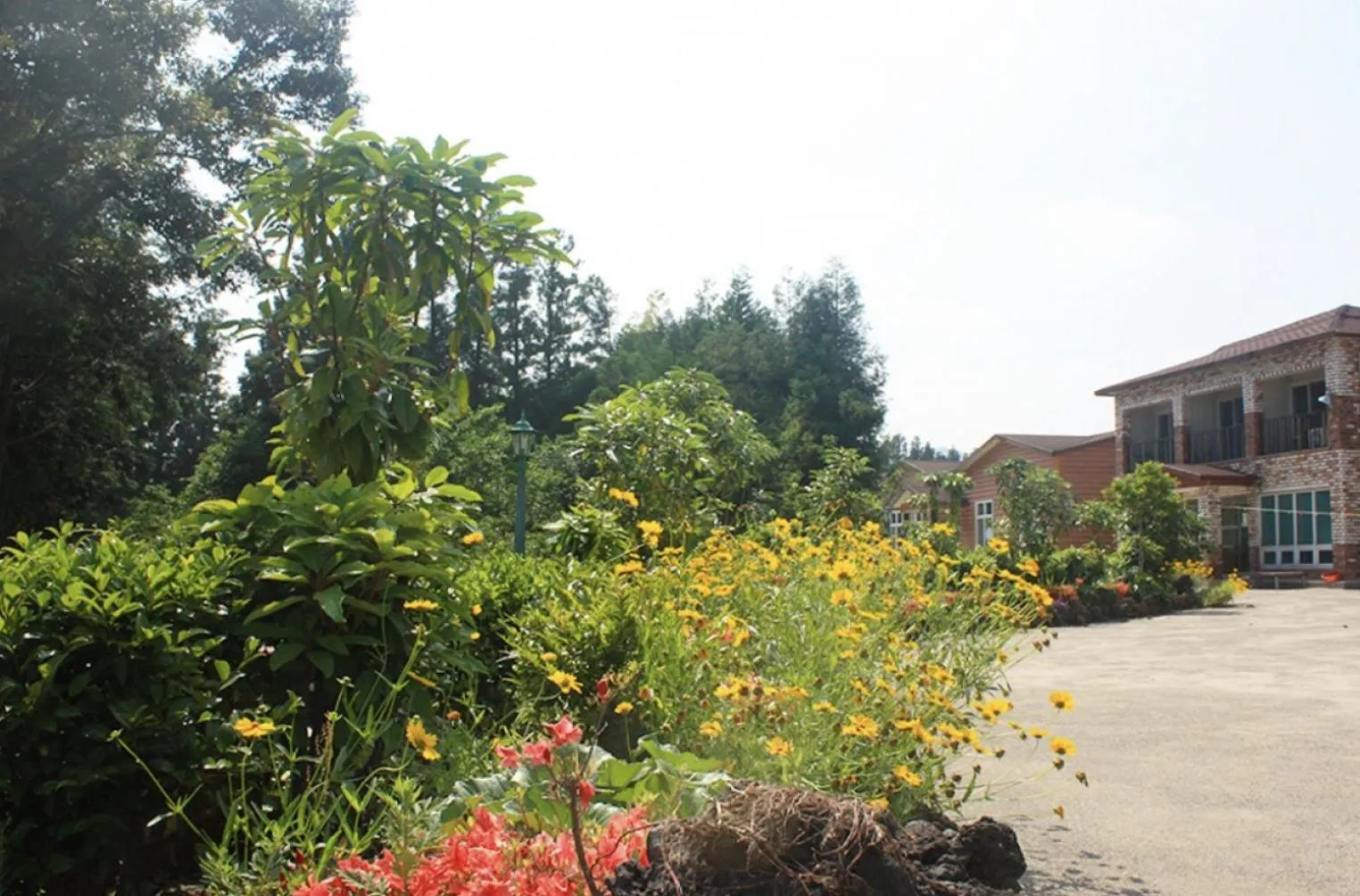 Jeju TS Youth Hostel & Resort