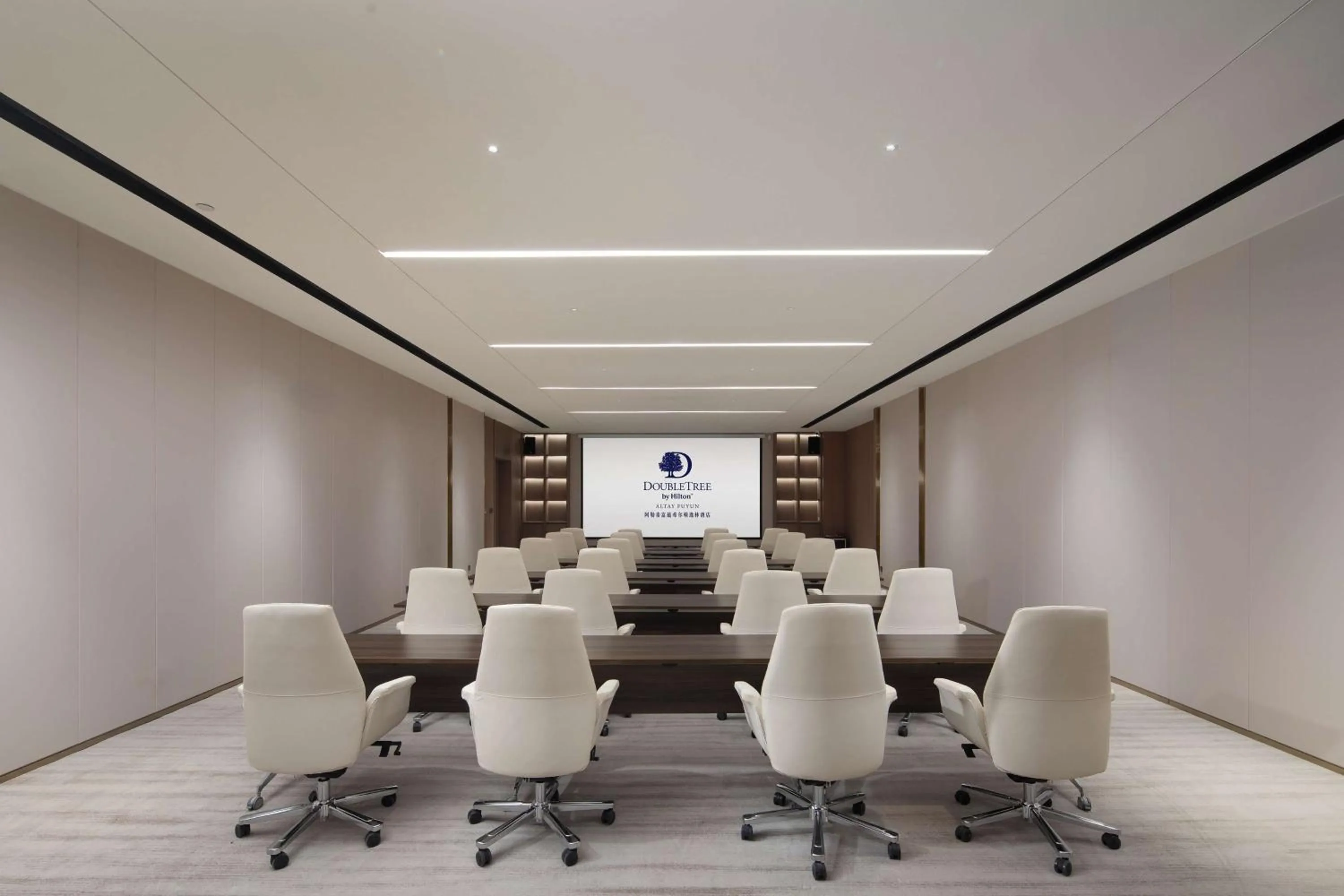 Meeting/conference room in Doubletree By Hilton Altay Fuyun