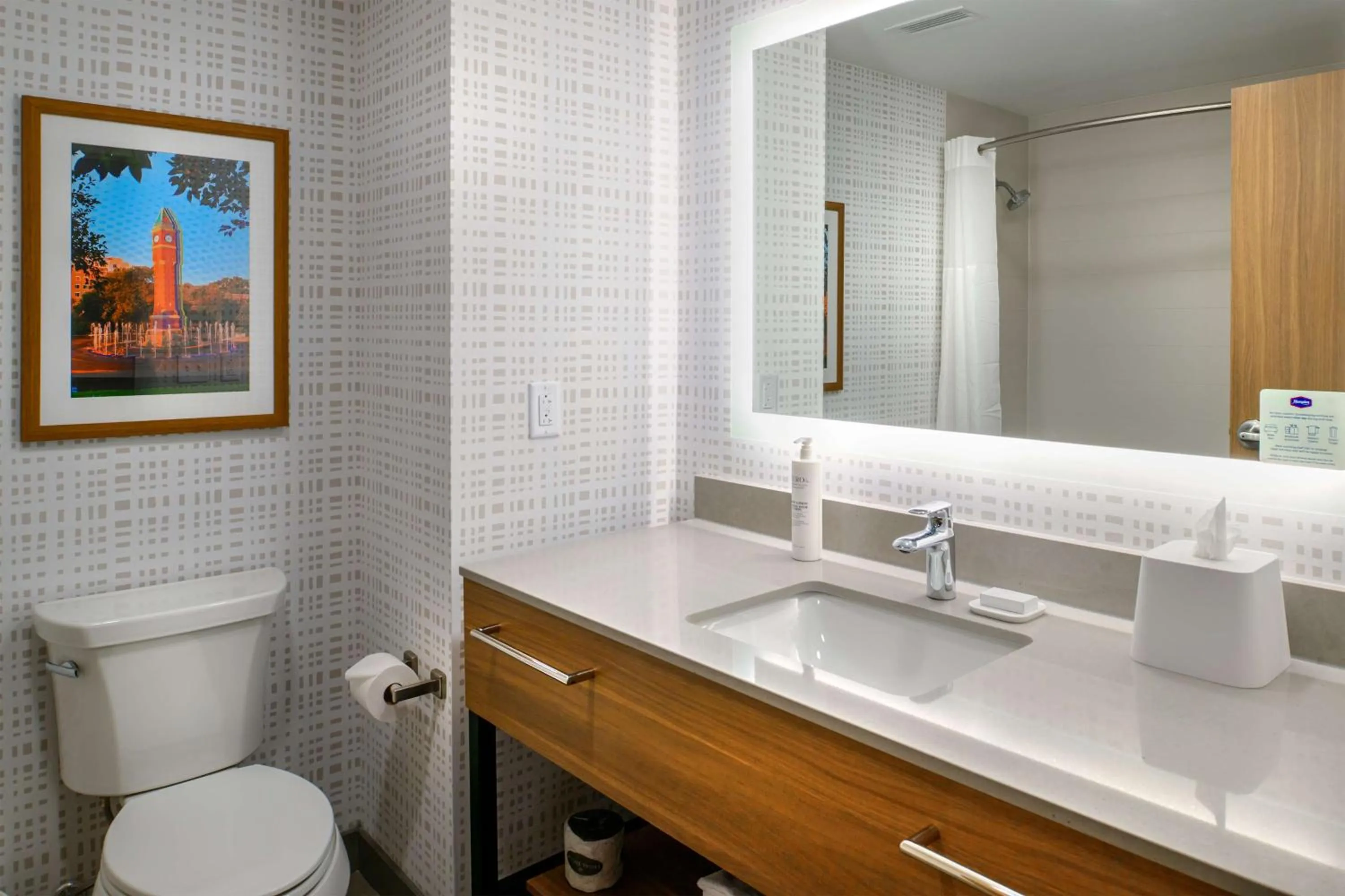 Bathroom in Hampton Inn By Hilton St Louis Airport