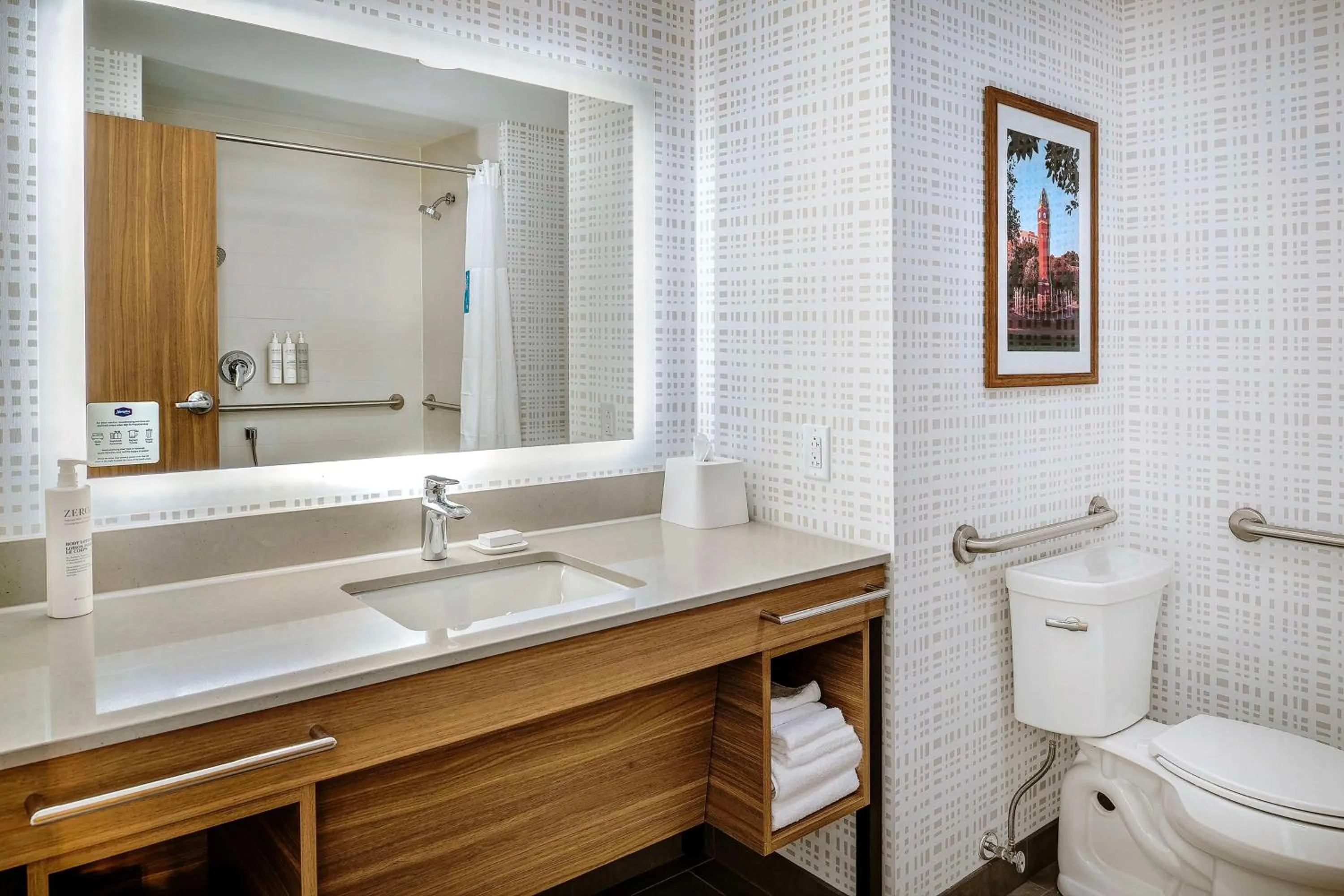 Bathroom in Hampton Inn By Hilton St Louis Airport