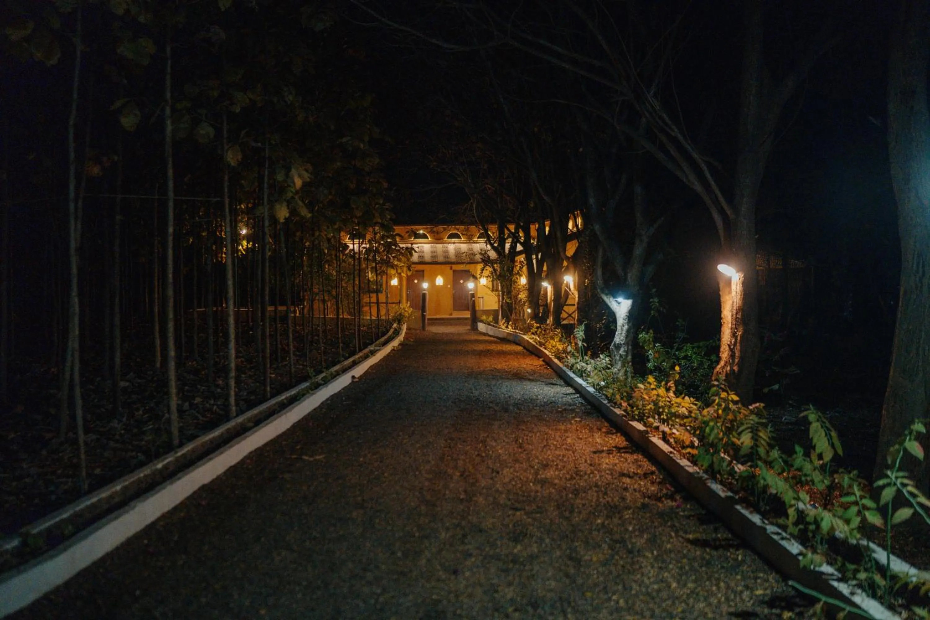 Facade/entrance in Treebo Premium Mowgli's Den, Pench