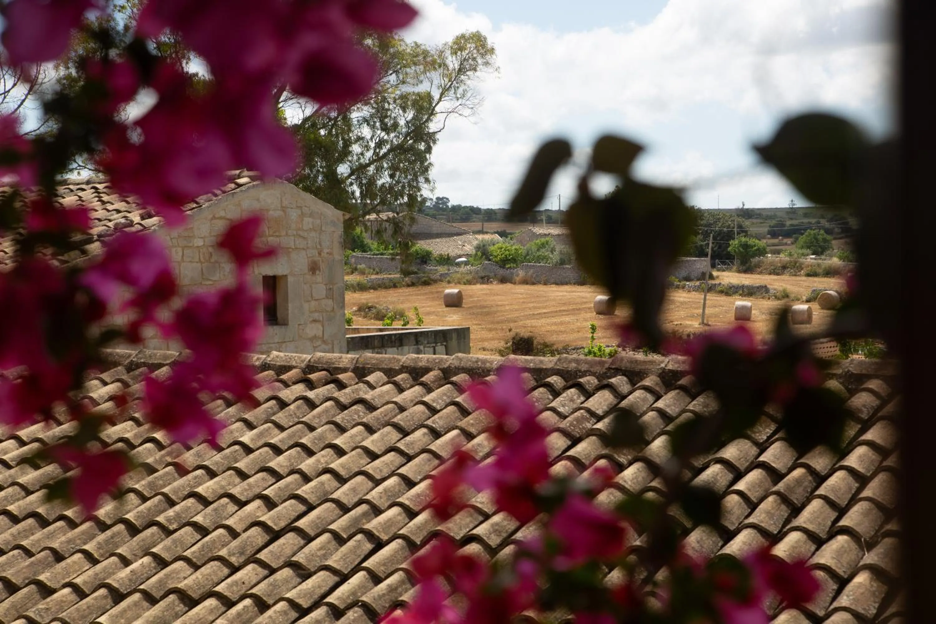 Bird's eye view in Eremo Della Giubiliana