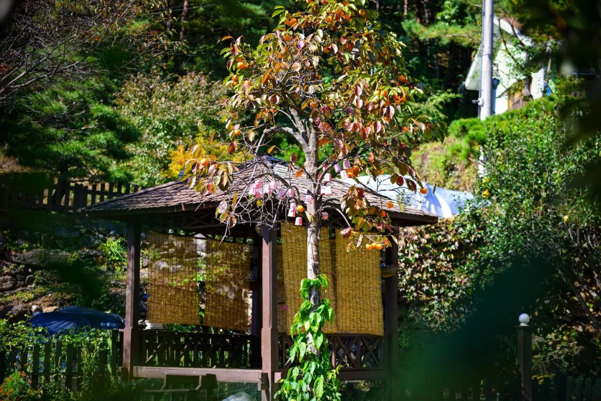 Giltara HaengWoon Pension