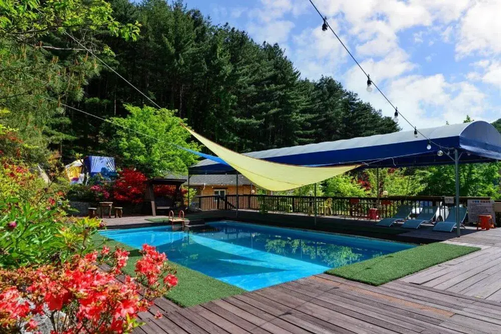 Thank you dog pet pension Thank you dog pet pension