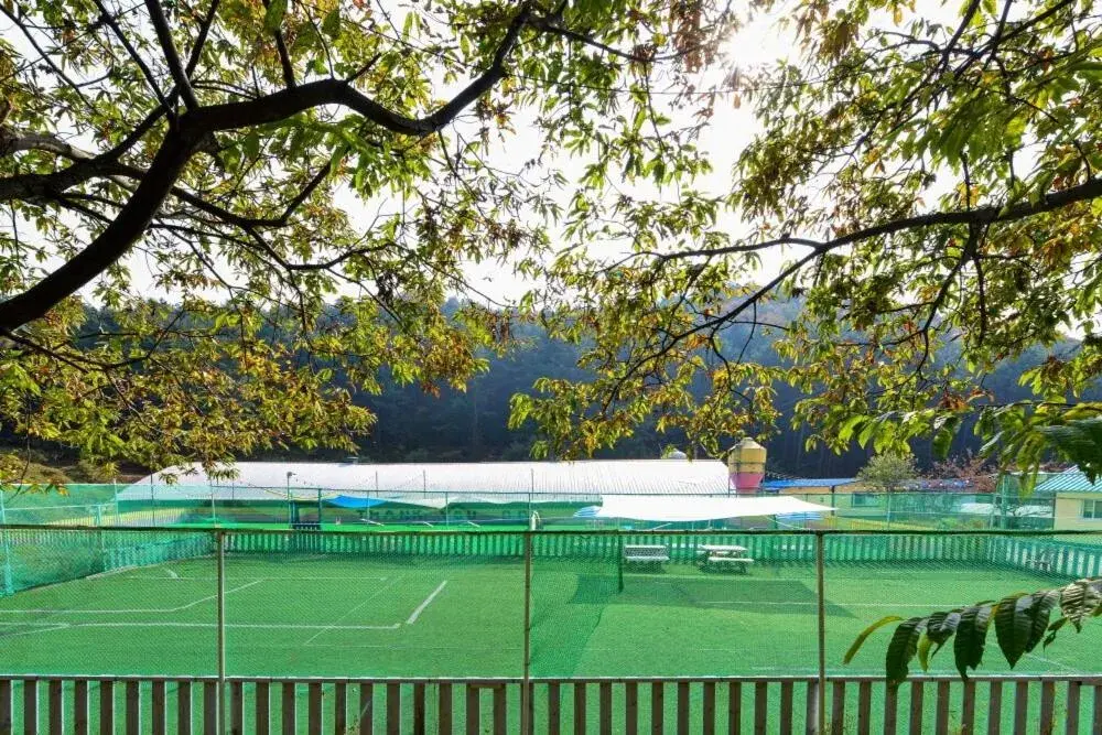 Thank you dog pet pension Thank you dog pet pension