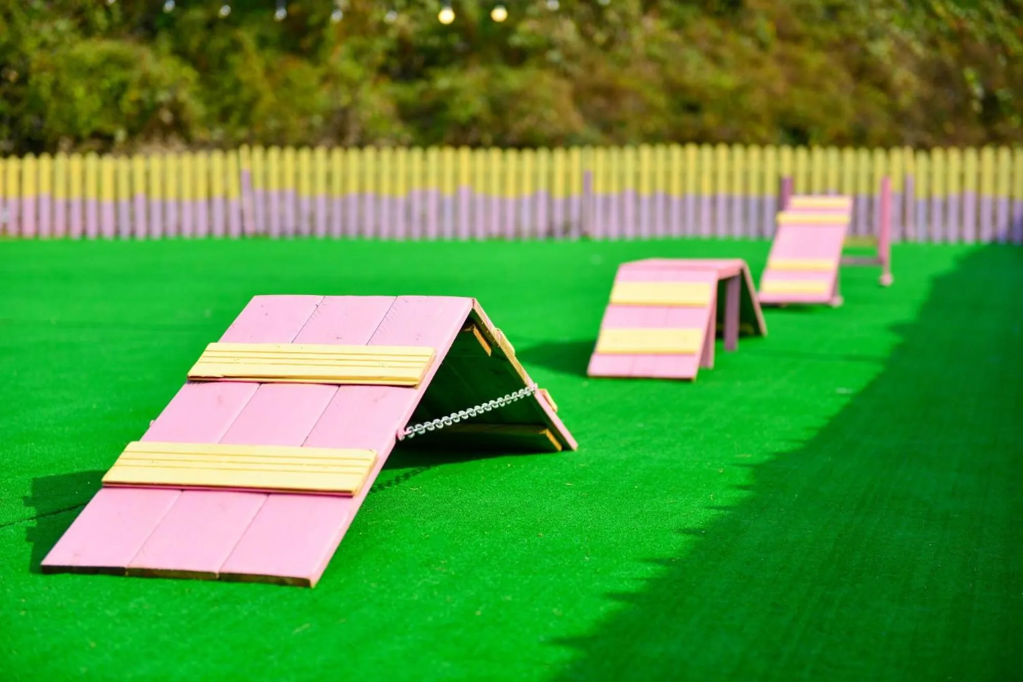 Thank you dog pet pension