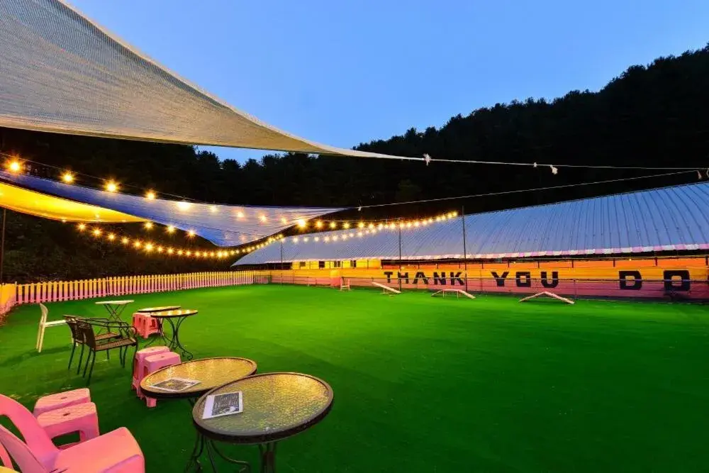 Thank you dog pet pension Thank you dog pet pension