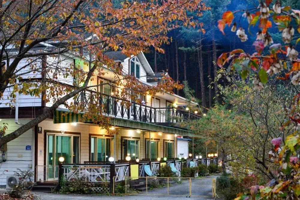 Thank you dog pet pension Thank you dog pet pension