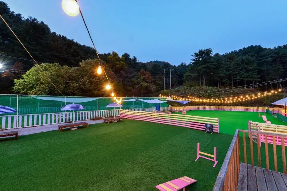 Thank you dog pet pension