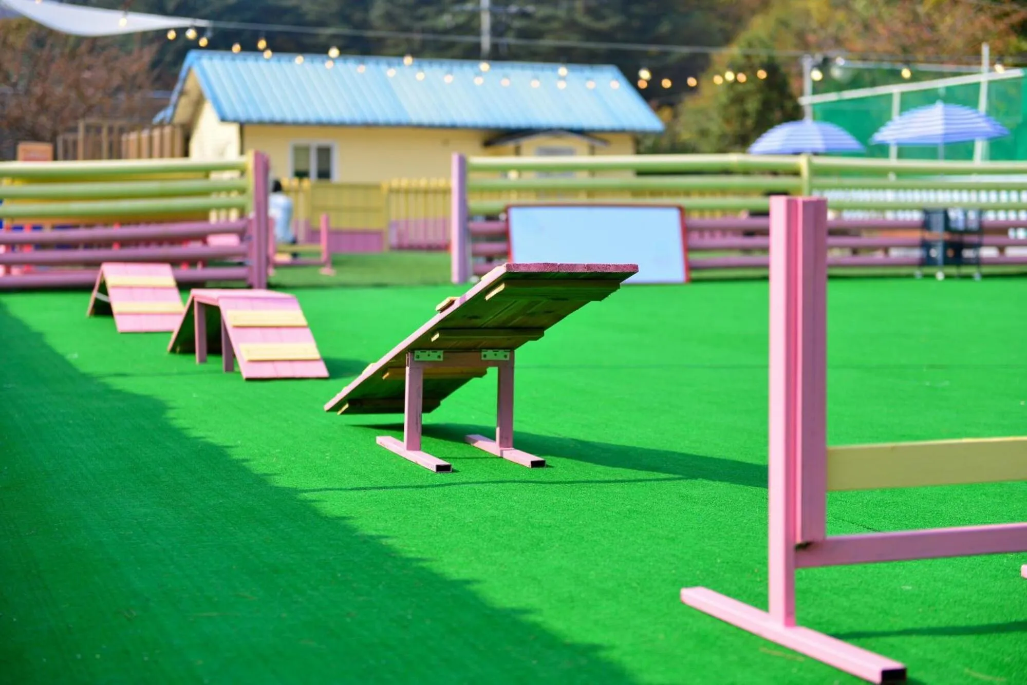 Thank you dog pet pension