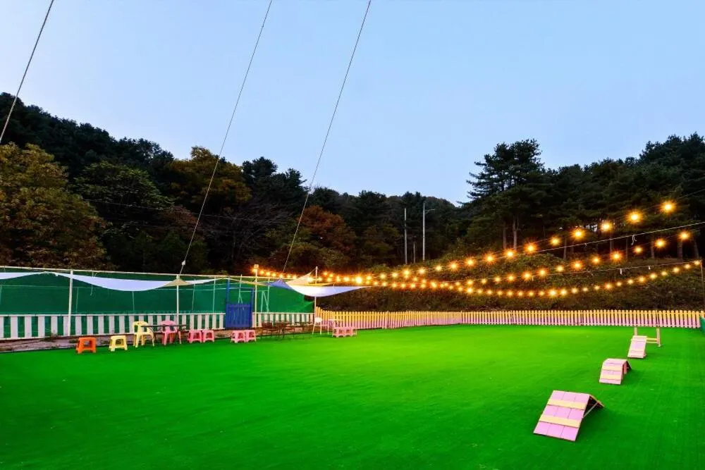 Thank you dog pet pension