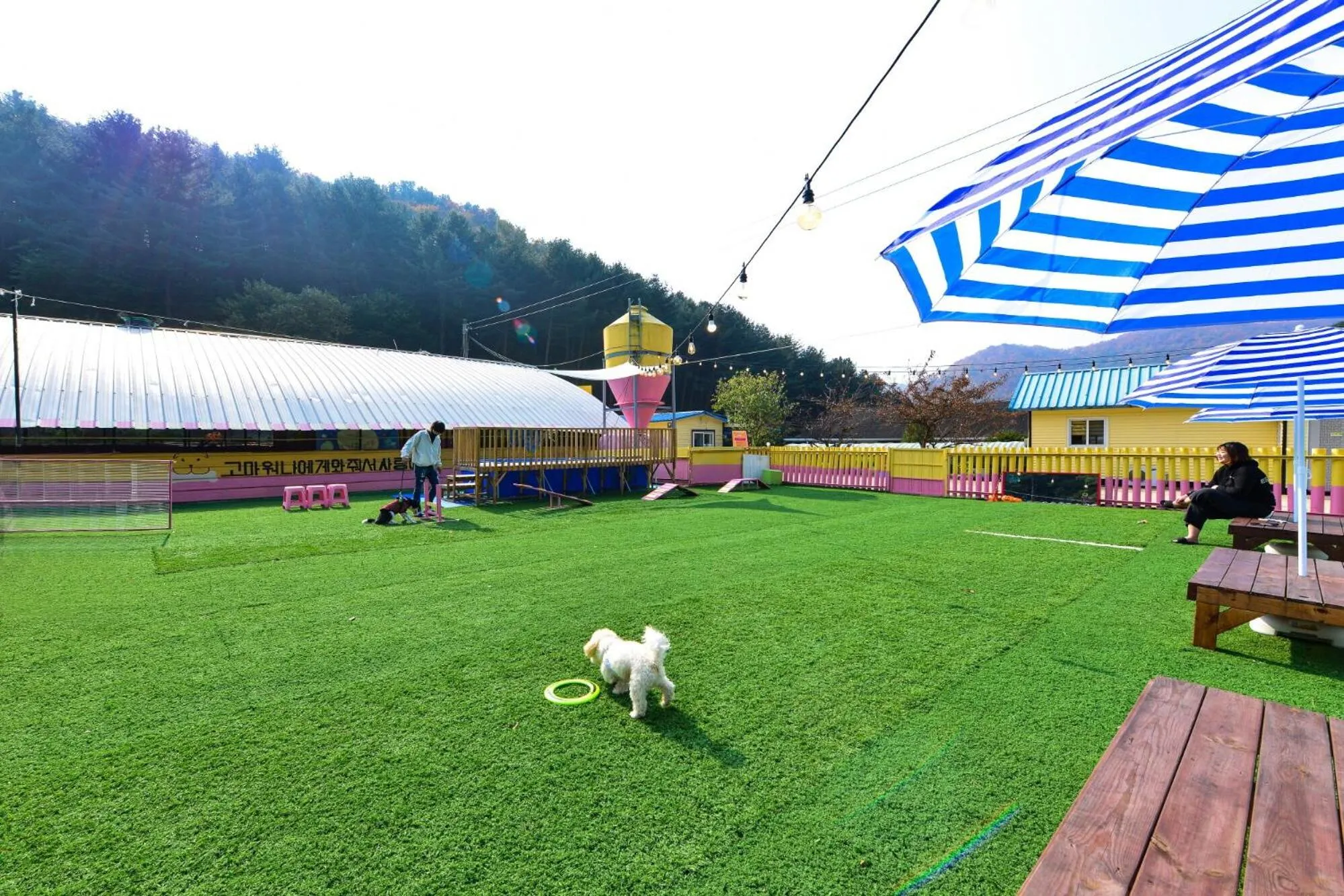 Thank you dog pet pension