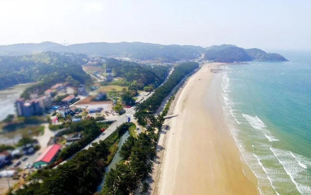 Silver Glowing Sea Pension