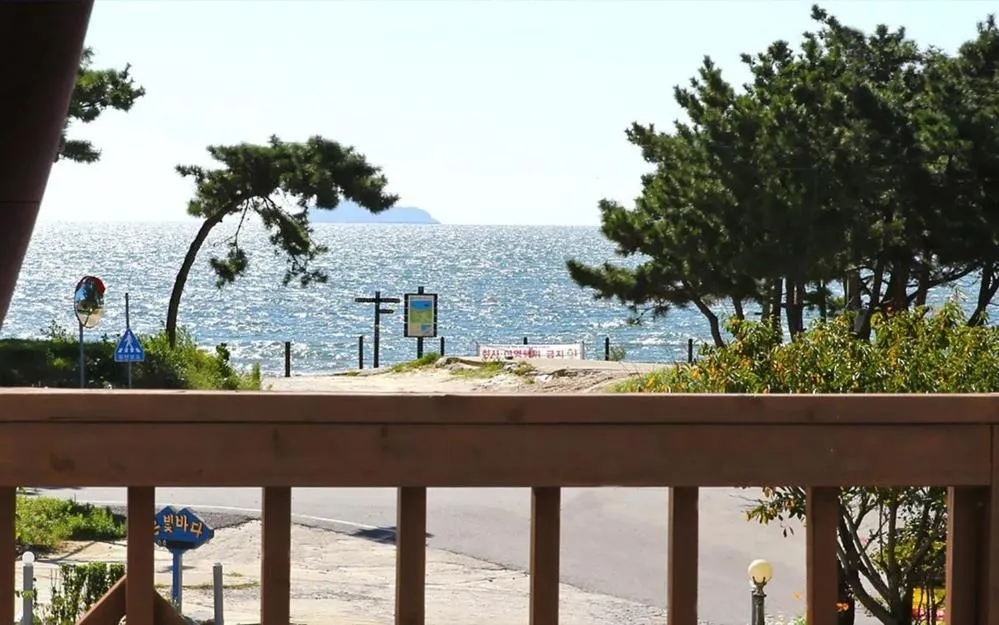 Silver Glowing Sea Pension