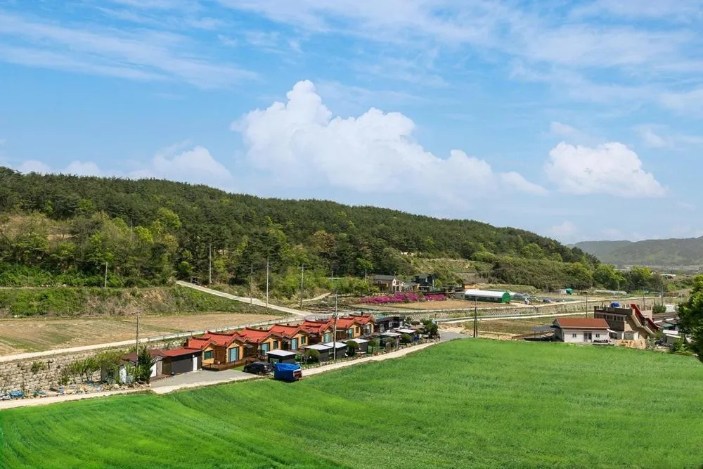 Gyeongju Helper pet Pension