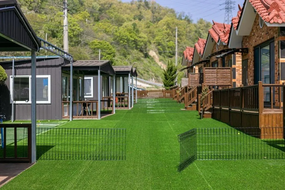 Gyeongju Helper pet Pension