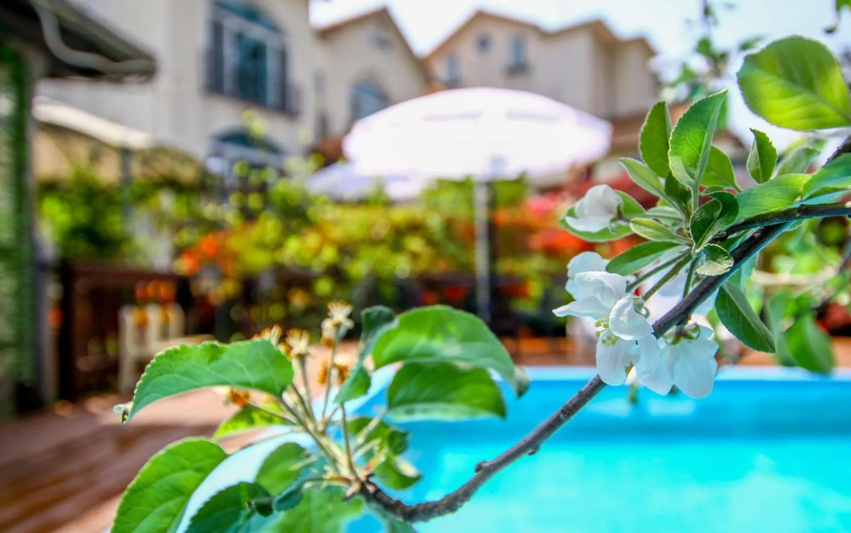 Taean like the first time pension