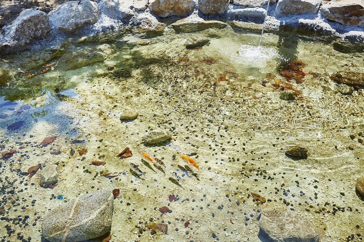 Gangreung refresh odaesanjeom