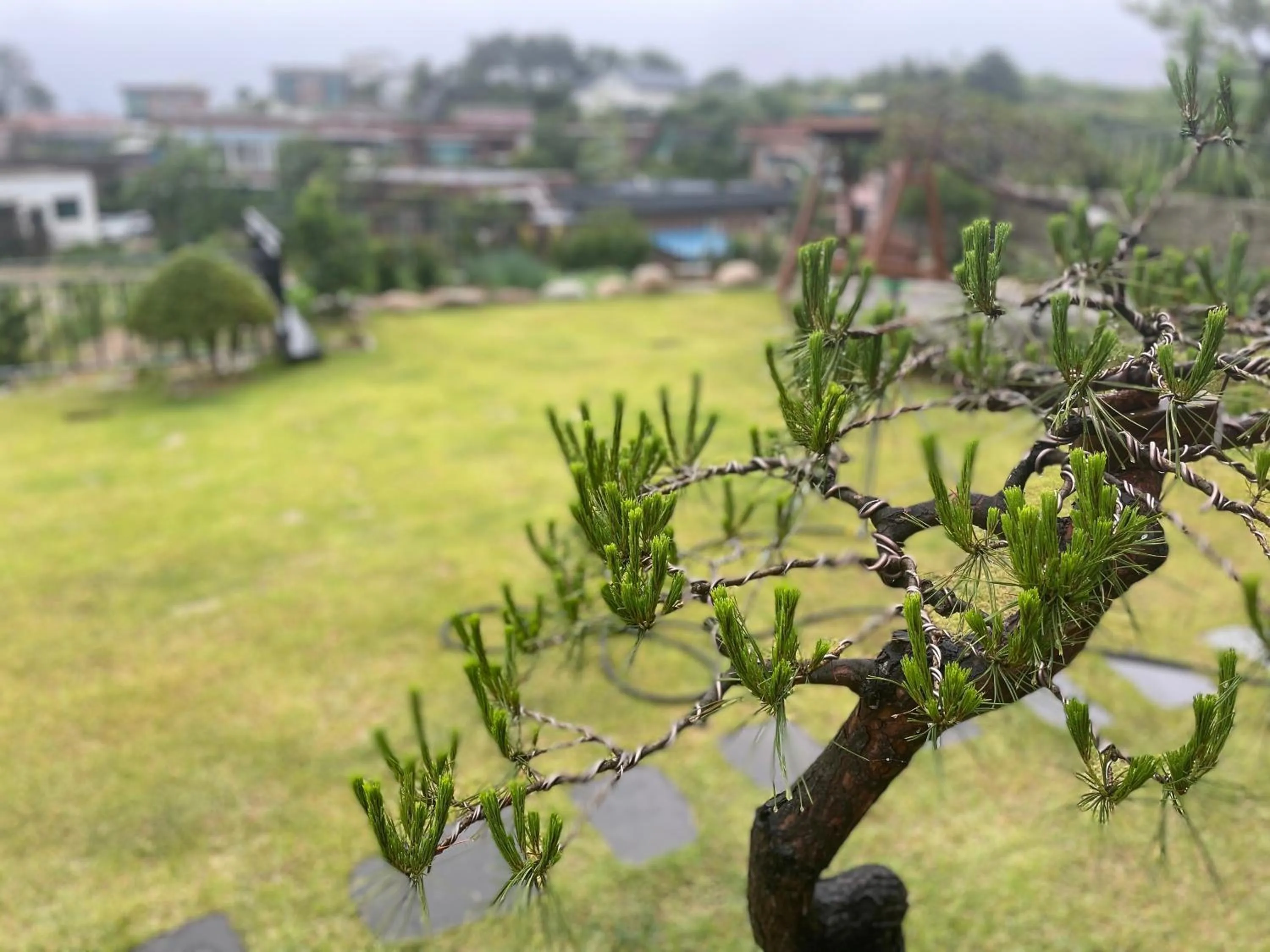Goseung Luceluna Pension