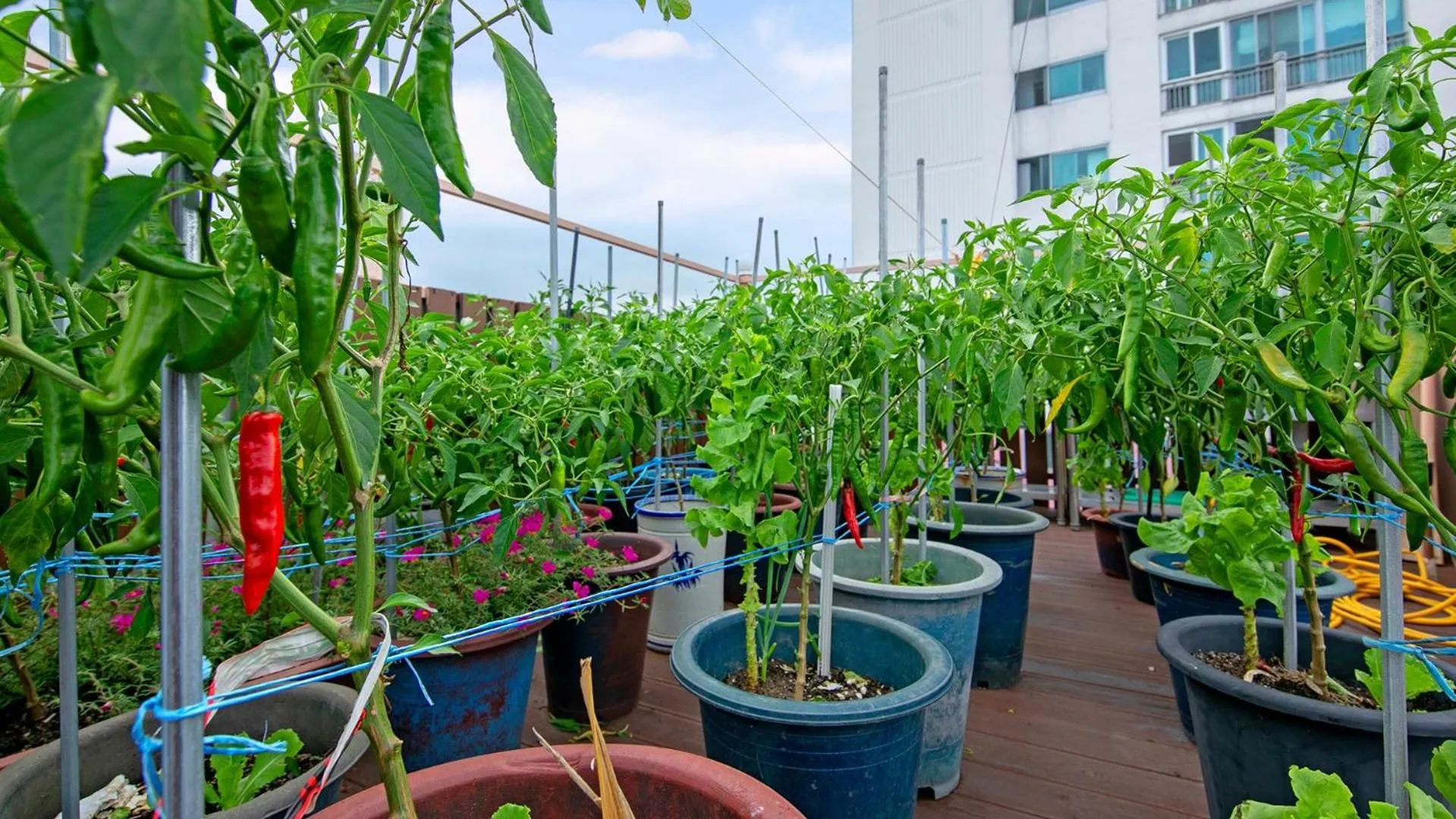 Gangneung Jumunjin Lighthouse Pension