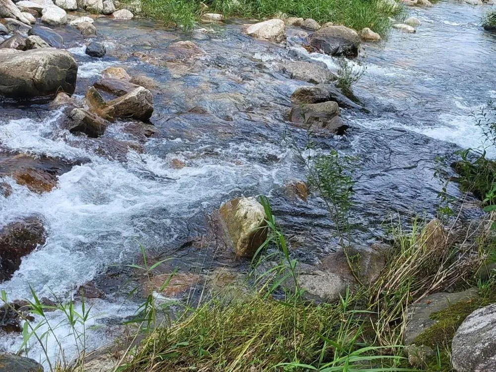 Yangpyeong Forest Live Pension