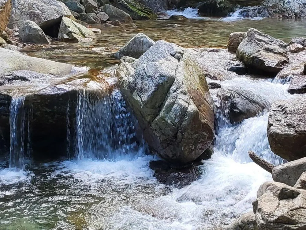 Yangpyeong Forest Live Pension