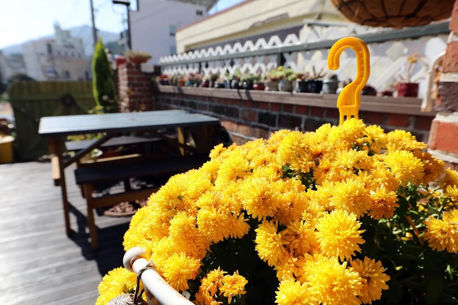 Geoje olive couple pension