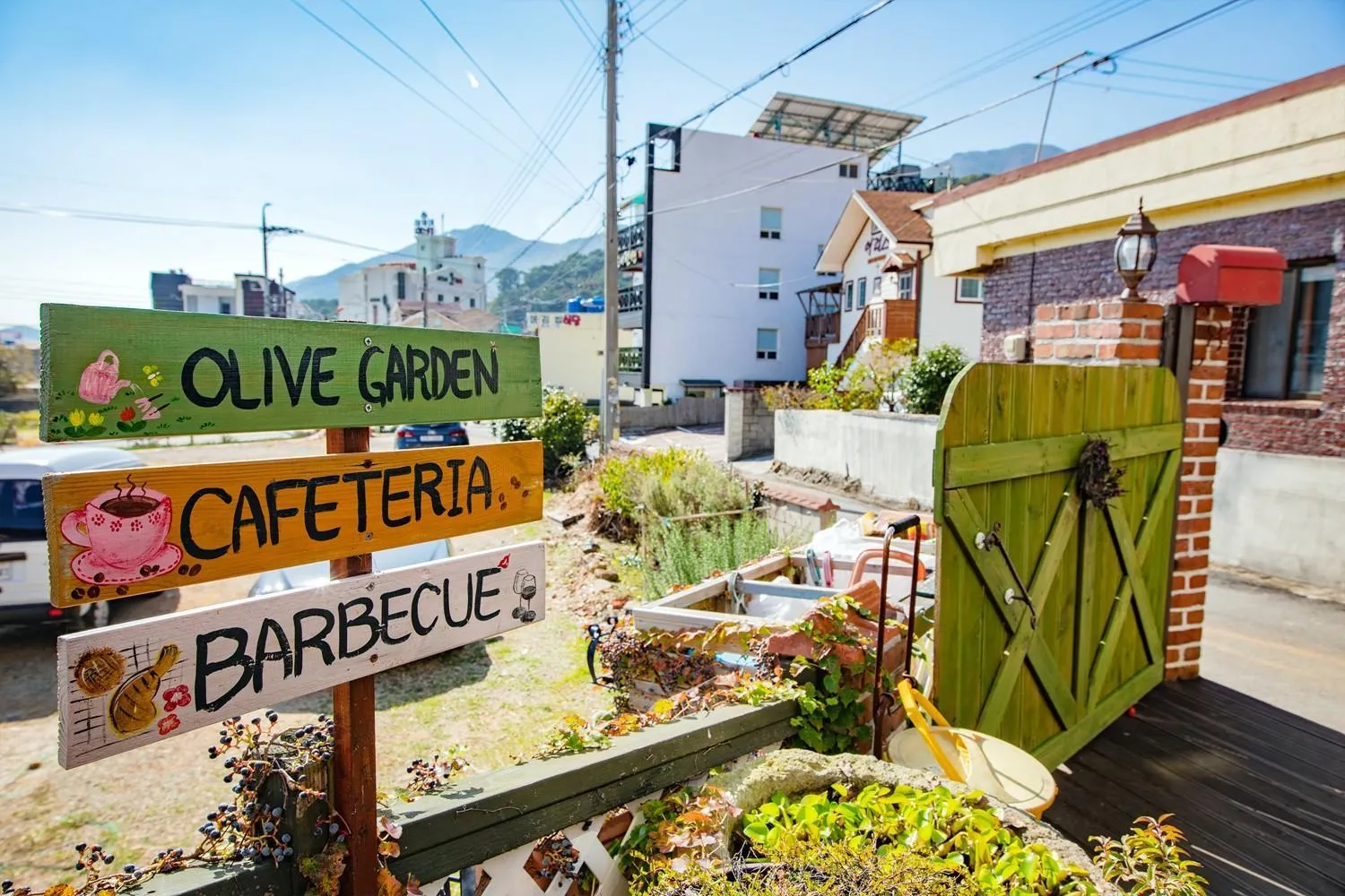 Geoje olive couple pension