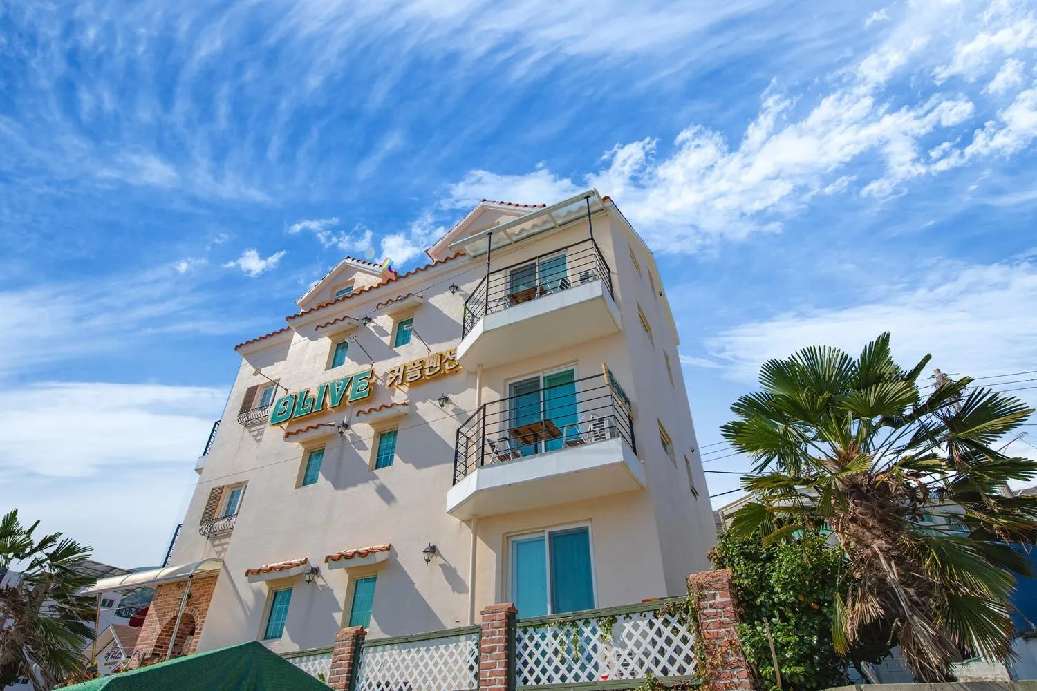 Geoje olive couple pension