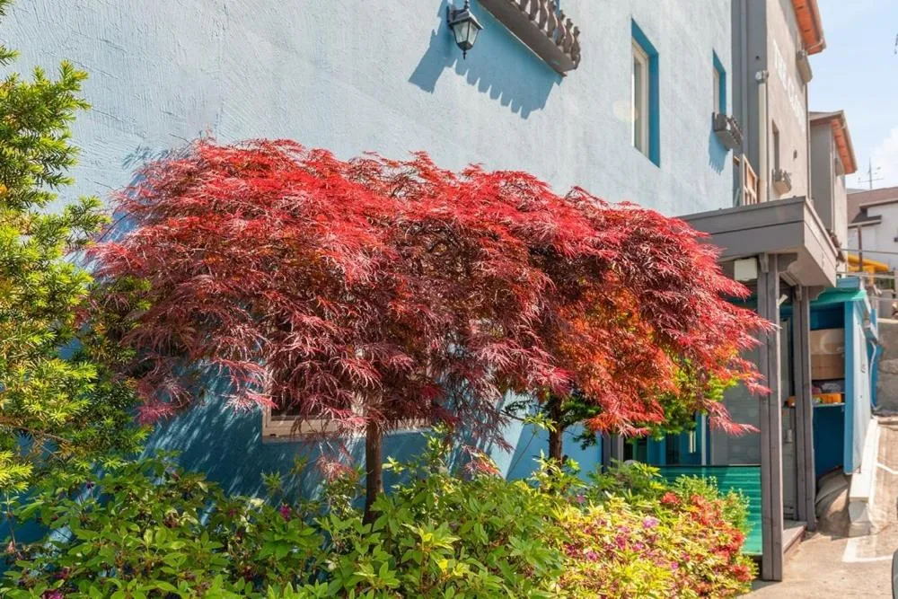 Gyeongju Blue 365 Pension