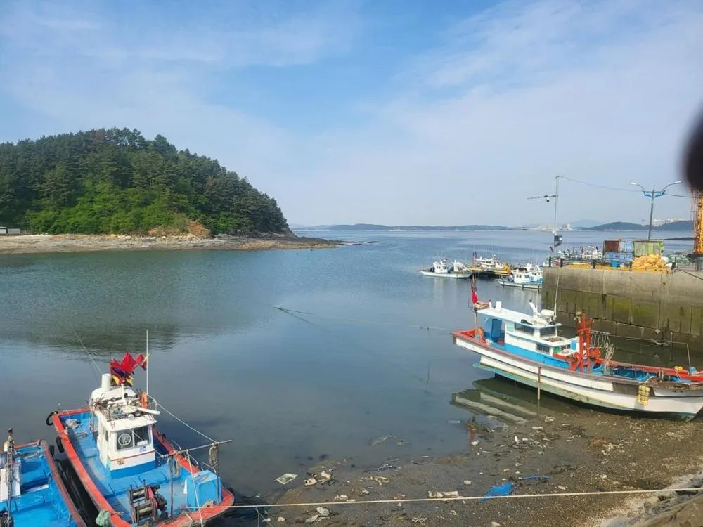 Taean Gana Pension Pet friendly