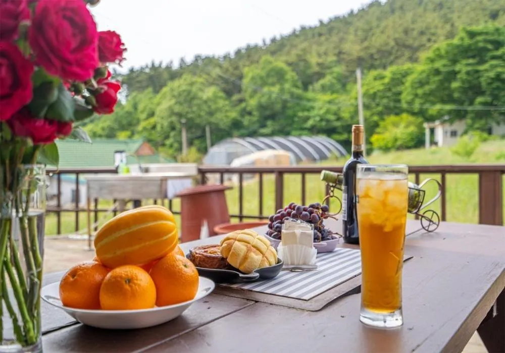 Taean Gana Pension Pet friendly