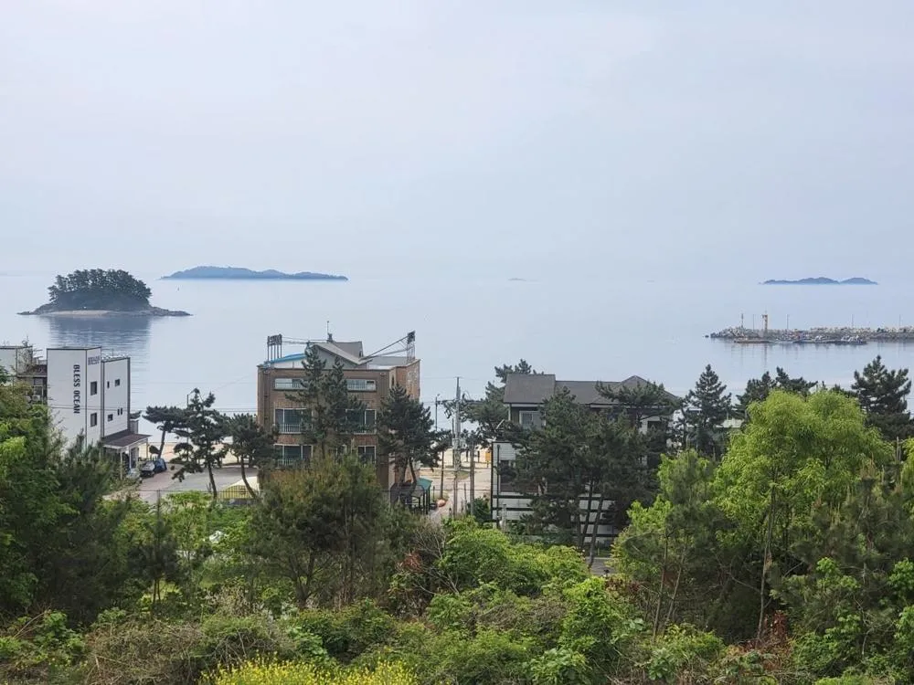Taean Gana Pension Pet friendly