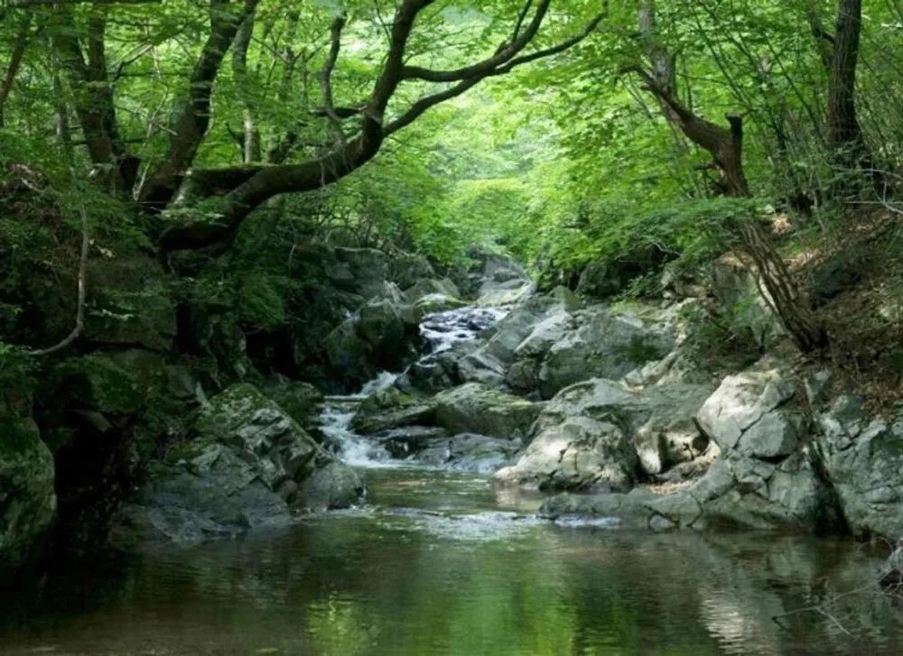 Seonbichon Lake Pension