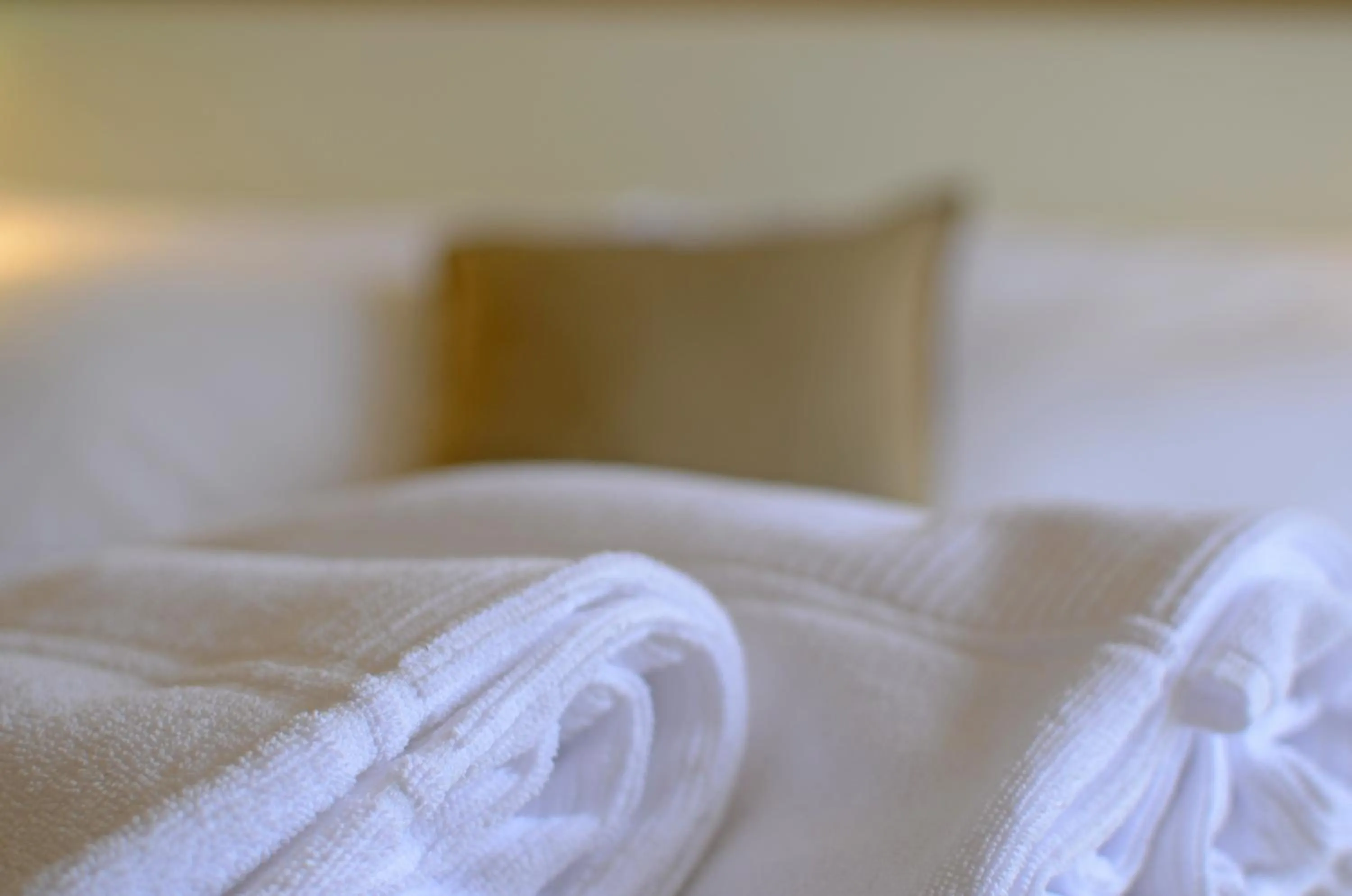 Decorative detail, Bed in San Marco