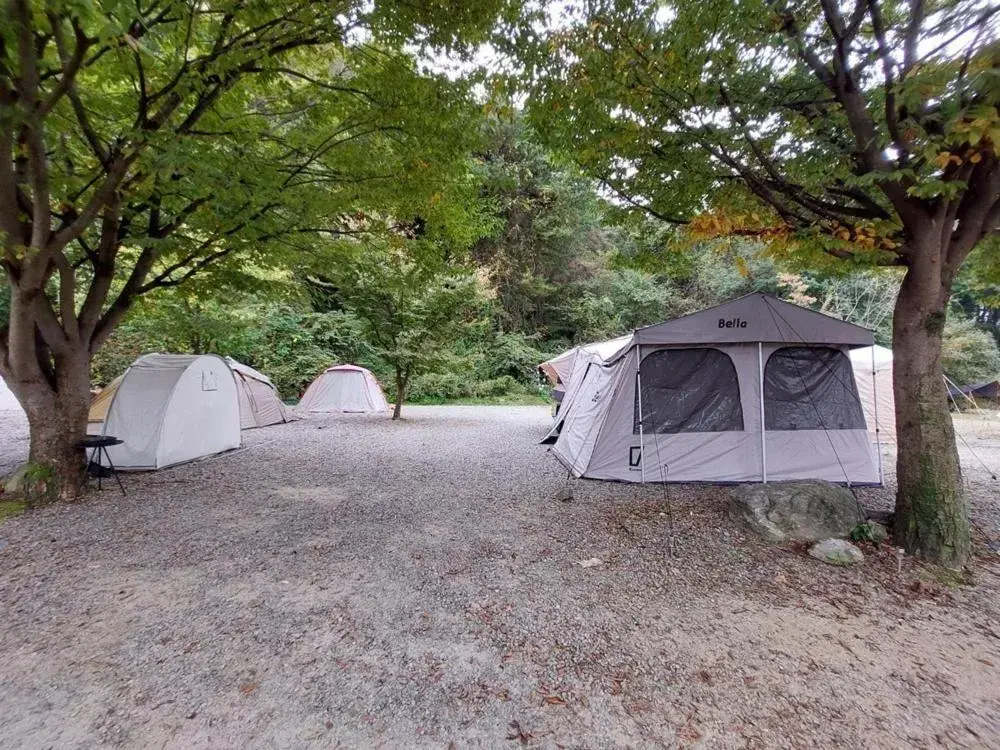 Gapyeong Jandigujang Pension Gapyeong Jandigujang Pension