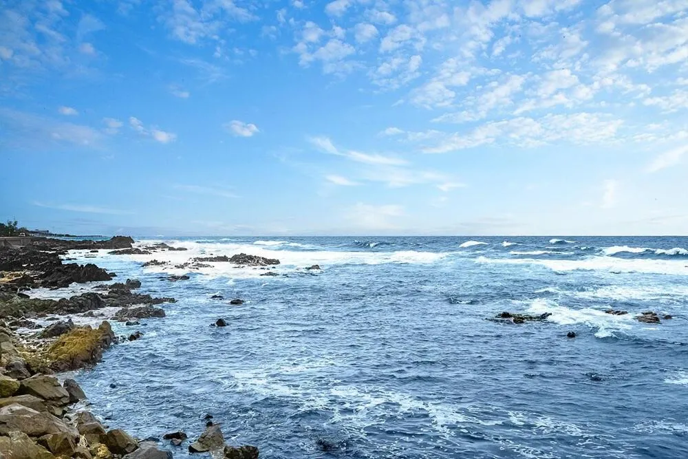 Pohang Uni’s Sea Caravan Homigot Branch